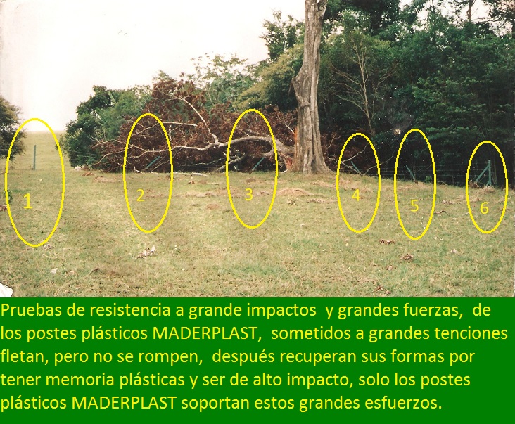 pruebas realizadas a postes plásticos resistencia fácil instalación humedad compresión tensión impacto flexión rotura tracción rigidez dureza elasticidad descarga eléctrica 0,01 2pruebas realizadas a postes plásticos resistencia fácil instalación humedad compresión tensión impacto flexión rotura tracción rigidez dureza elasticidad descarga eléctrica 2 2135468790213546879 pruebas realizadas a postes plásticos resistencia fácil instalación humedad compresión tensión impacto flexión rotura tracción rigidez dureza elasticidad descarga eléctrica 2