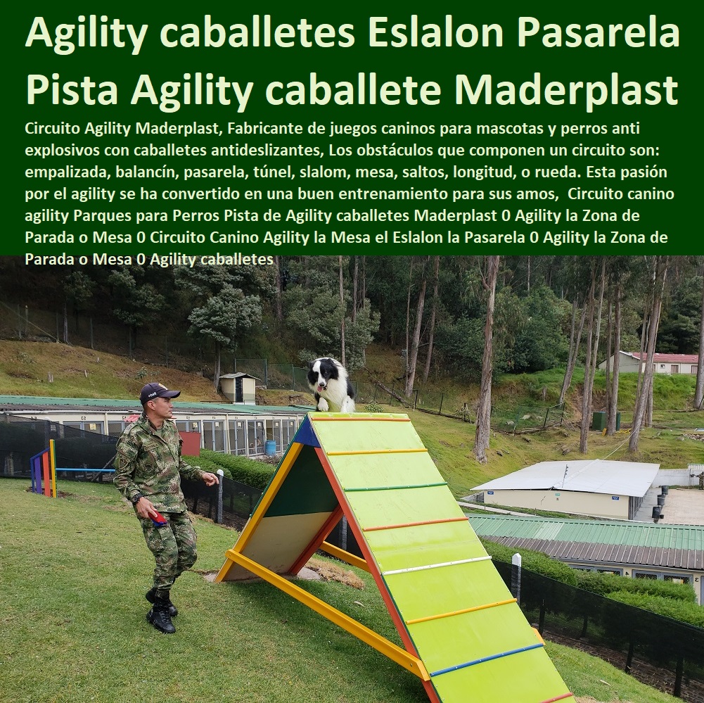 Parque Canino de Agility: salto, empalizda, rueda, slalom, mesa.