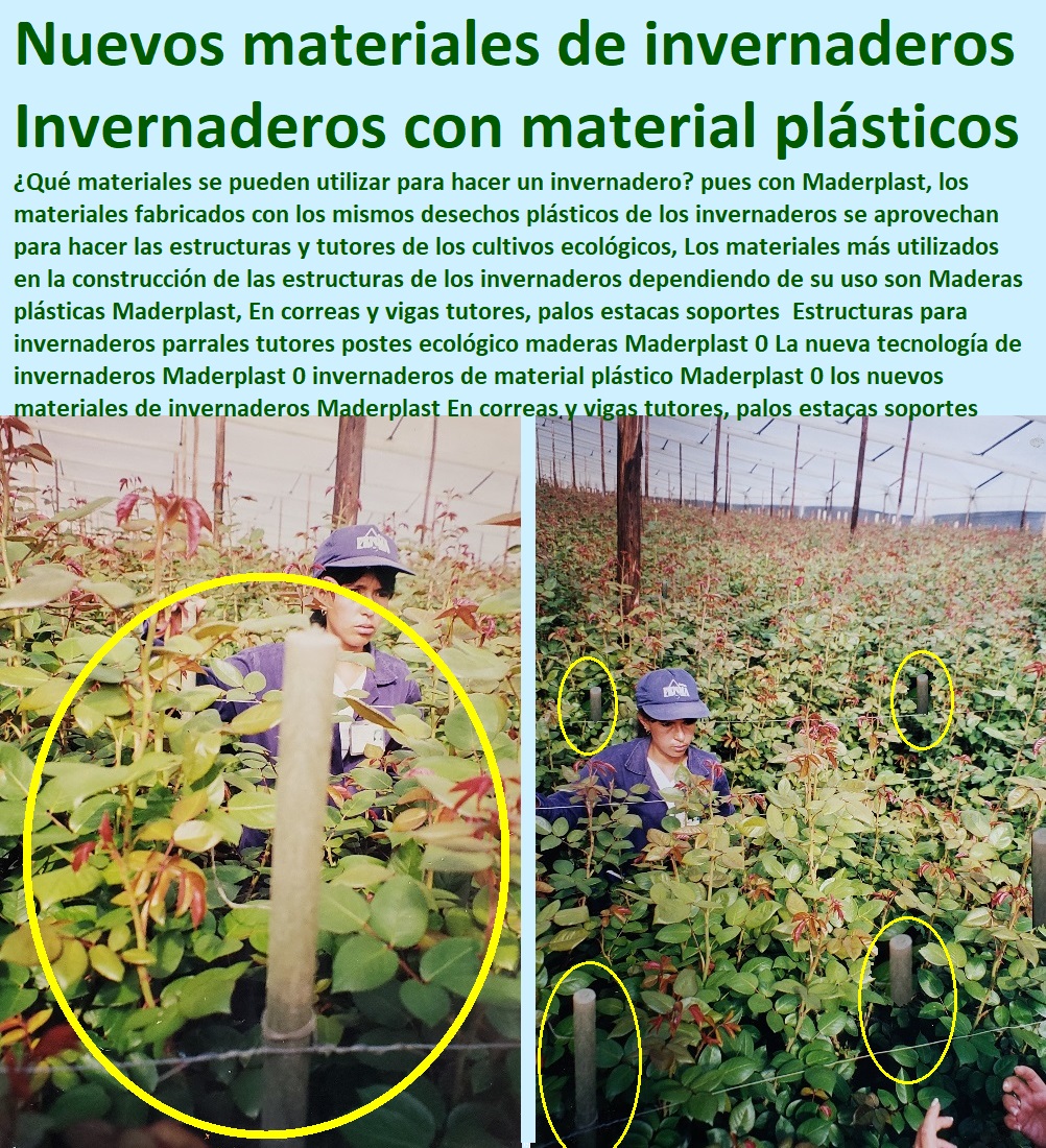 Aplicaciones de plásticos en la agricultura: de invernaderos a semilleros -  EsPlásticos