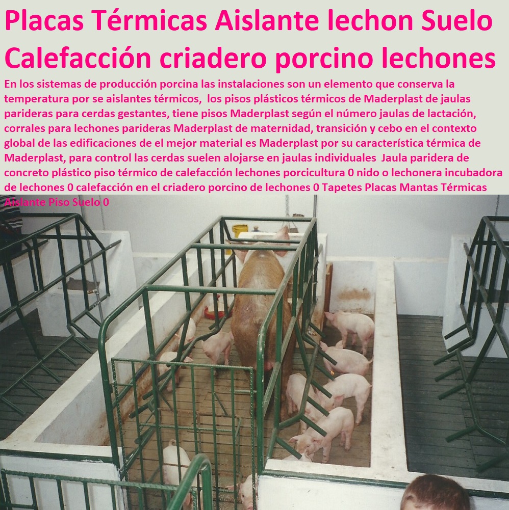 granjas porcinas