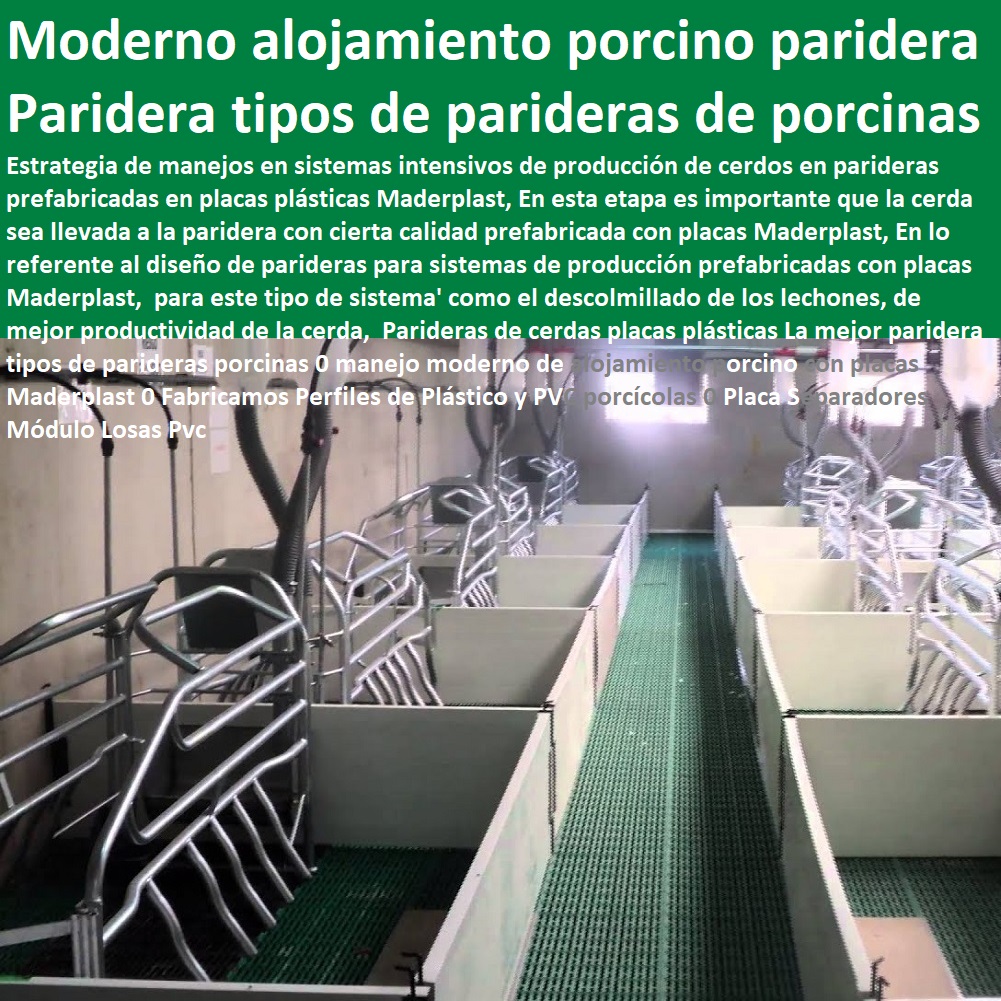 granjas porcinas