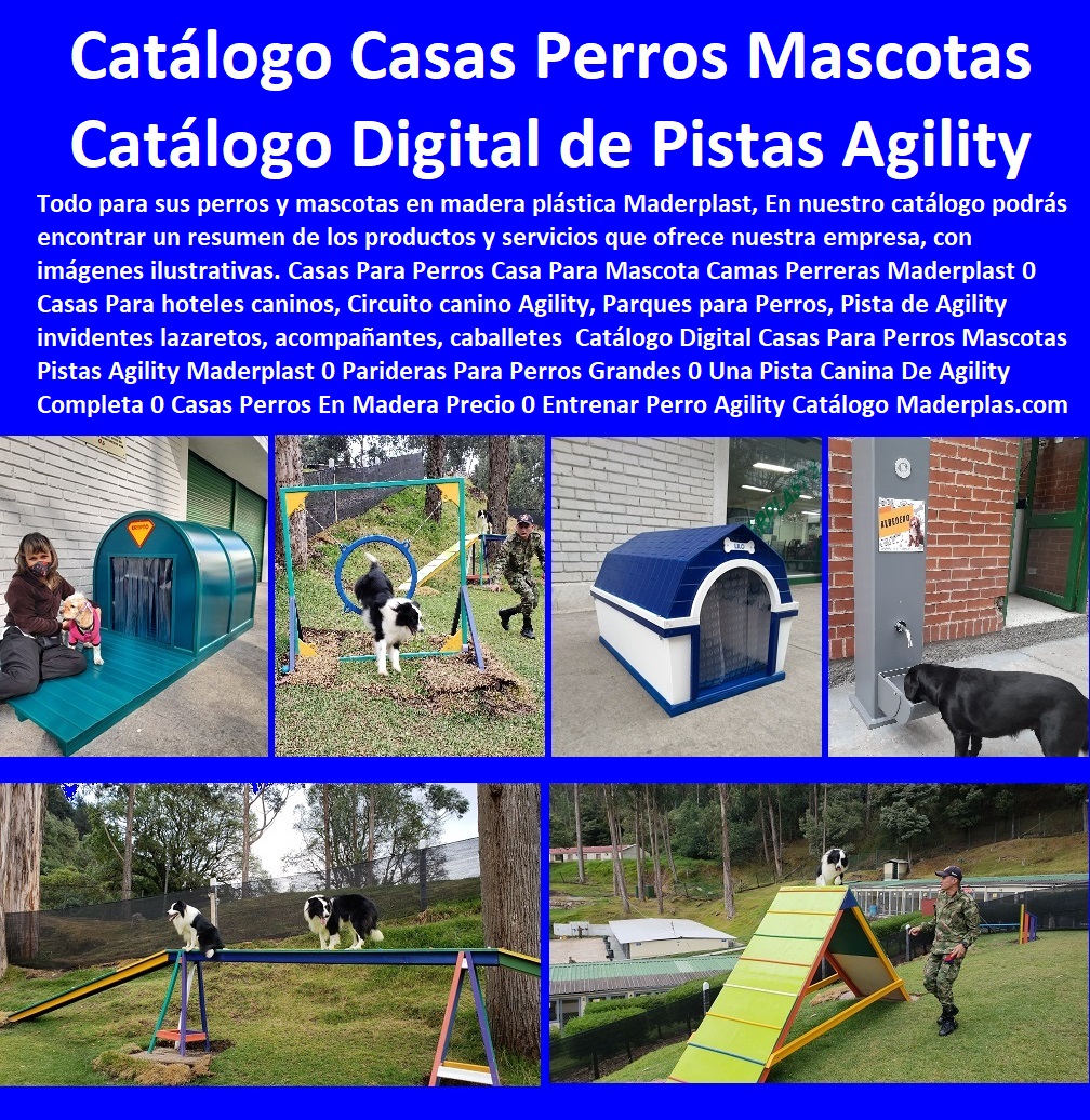 33 CASAS PARA PERROS MASCOTAS 0 AGILITY DE PERROS 0 PISTAS DE ADIESTRAMIENTO CANINOS 0 OBSTÁCULOS EQUIPO DE AGILITY PARA PERROS 0 Cunas Y Parideras Camas Para Perros 0 Pista Campeonatos Para Perros 0 Parques Para Perros 0 Puertas Jaulas Corrales Para Perros 0 Fabrica Circuitos Agility Caninos 0 Perreras Para Caninos 33 CASAS PARA PERROS MASCOTAS 0 AGILITY DE PERROS 0 PISTAS DE ADIESTRAMIENTO CANINOS 0 OBSTÁCULOS EQUIPO DE AGILITY PARA PERROS 0 Cunas Y Parideras Camas Para Perros 0 Pista Campeonatos Para Perros 0 Parques Para Perros 0 Puertas Jaulas Corrales Para Perros 0 Fabrica Circuitos Agility Caninos 0 Perreras Para Caninos Circuito canino Agility Parques para Perros Pista de Agility caballetes Maderplast 0 Agility la Zona de Parada o Mesa 0 Circuito Canino Agility la Mesa el Eslalon la Pasarela 0 Agility la Zona de Parada o Mesa 0 Casas Para Perros Y Mascotas, Agility De Perros, Pistas De Adiestramiento, Caninos Para Perros, Equipo De Agility Para Perros, Cunas Y Parideras Para Perros, Parques Para Perros, Corrales Para Perros, Jaulas cuidado de perros, Agility caballetes Circuito canino Agility Parques para Perros Pista de Agility caballetes Maderplast 0 Agility la Zona de Parada o Mesa 0 Circuito Canino Agility la Mesa el Eslalon la Pasarela 0 Agility la Zona de Parada o Mesa 0 Agility caballetes