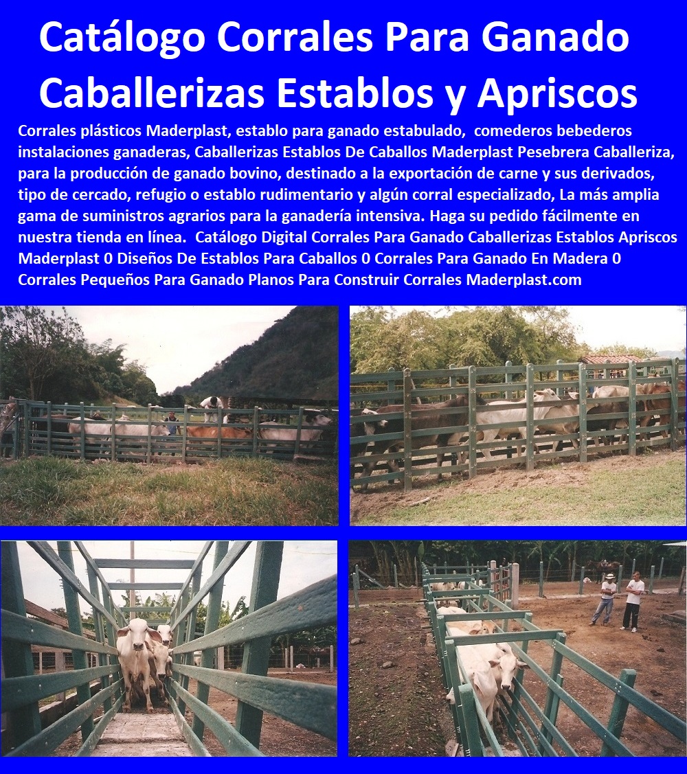 39 CORRALES DE GANADO 0 ESTABLOS PARA ANIMALES 0 MANGAS DE COLEO 0 CORRAL CABALLERIZAS 0 PESEBRERAS DE CABALLOS 0 Plaza Toros 0 Brete Ganadero 0 Instalaciones Ganaderas 0 Mangas De Coleo 0 División De Corrales 0 Embarcaderos De Ganado 0 Mangas Apretaderos Trabajaderos De Ganado 0 Embudos De Manejo De Ganado 0 División De Corrales 39 CORRALES DE GANADO 0 ESTABLOS PARA ANIMALES 0 MANGAS DE COLEO 0 CORRAL CABALLERIZAS 0 PESEBRERAS DE CABALLOS 0 Plaza Toros 0 Brete Ganadero 0 Instalaciones Ganaderas 0 Mangas De Coleo 0 División De Corrales 0 Embarcaderos De Ganado 0 Mangas Apretaderos Trabajaderos De Ganado 0 Embudos De Manejo De Ganado 0 División De Corrales Medidas De Corrales Y Vaqueras Establos de lujo Corral Decorativo Maderplast 0 corrales para ganado lechero 0 medidas de una vaquera con corral 0 puertas para corrales de ganado 0 manual de mangas y corrales 0 Corrales, Establos De Ganado, Mangas De Coleo, Corral Caballerizas, Pesebreras De Caballos, Plaza Toros, Brete Ganadero, Apretaderos Embarcaderos, Postes Tablas, Polines Varetas, Horcones Madera Plástica, corrales ganaderos 00 Medidas De Corrales Y Vaqueras Establos de lujo Corral Decorativo Maderplast 0 corrales para ganado lechero 0 medidas de una vaquera con corral 0 puertas para corrales de ganado 0 manual de mangas y corrales 0 corrales ganaderos 00