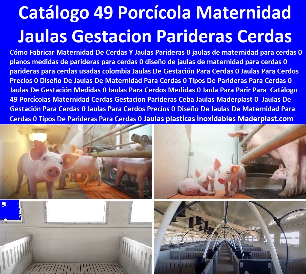 41 PORCICULTURA TECNIFICADA 0 GRANJAS DE PORCINOS 0 CRIA DE CERDOS 0 LEVANTE DE CERDOS 0 REPRODUCTION PORCINA 0 Jaulas Gestación 0 Jaulas Parideras 0 Corrales 0 Parideras Porcinas 0 Corral Gestación Cerdas 0 Jaula Lechoneras Pre Ceba