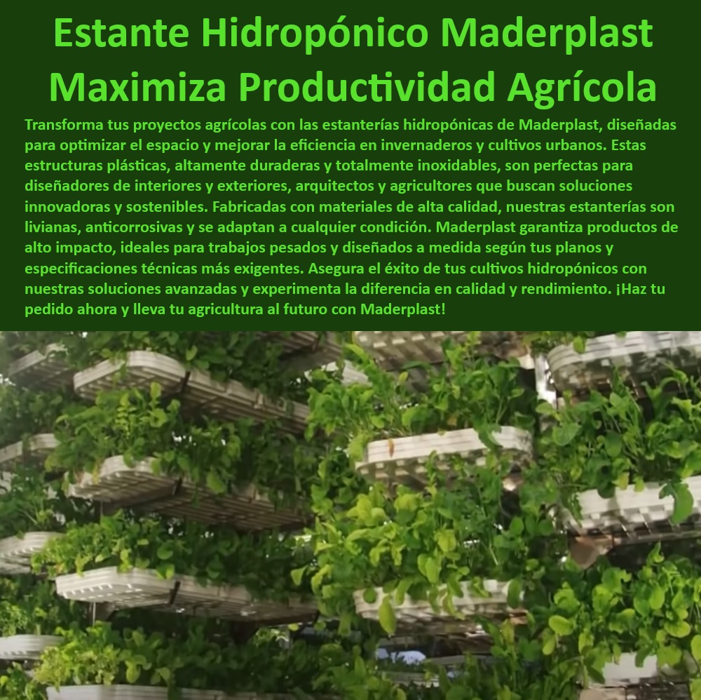 Estanterías Inoxidables Cultivos Hidropónicos Bandejas Estructuras Maderplast 0 Sistemas hidropónicos para fachadas verdes 0 Cultivos tecnificados con estructuras plásticas 0 Estructuras y bandejas cultivos hidropónicos 0 Estanterías inoxidables 0   Estructuras plásticas duraderas, , Cultivos hidroponía alta calidad, , Materiales resistentes a la corrosión, , Materiales inoxidables agrícolas, , Invernaderos modernos Maderplast, , Eficiencia en cultivos verticales, , Eficiencia en la producción agrícola, , Cultivos urbanos eficientes, , Productividad agrícola hidroponía, , Estanterías hidropónicas Maderplast, , Agricultura vertical moderna, , Bandejas para cultivo eficiente, , Optimización de recursos agrícolas, , Tecnología agrícola avanzada, , Diseño de cultivos hidropónicos, , Estructuras agrícolas modulares, , Estanterías agrícolas personalizadas, , Optimización del espacio agrícola, , Sistemas hidropónicos tecnificados, , Proyectos hidropónicos innovadores, , Bandejas para cultivos hidropónicos, , Innovación en hidroponía agrícola, , Diseño de invernaderos eficientes, , Soluciones agrícolas sostenibles, , Soluciones agrícolas Maderplast Estanterías Inoxidables Cultivos Hidropónicos Bandejas Estructuras Maderplast 0 Sistemas hidropónicos para fachadas verdes 0 Cultivos tecnificados con estructuras plásticas 0 Estructuras y bandejas cultivos hidropónicos 0 Estanterías inoxidables 