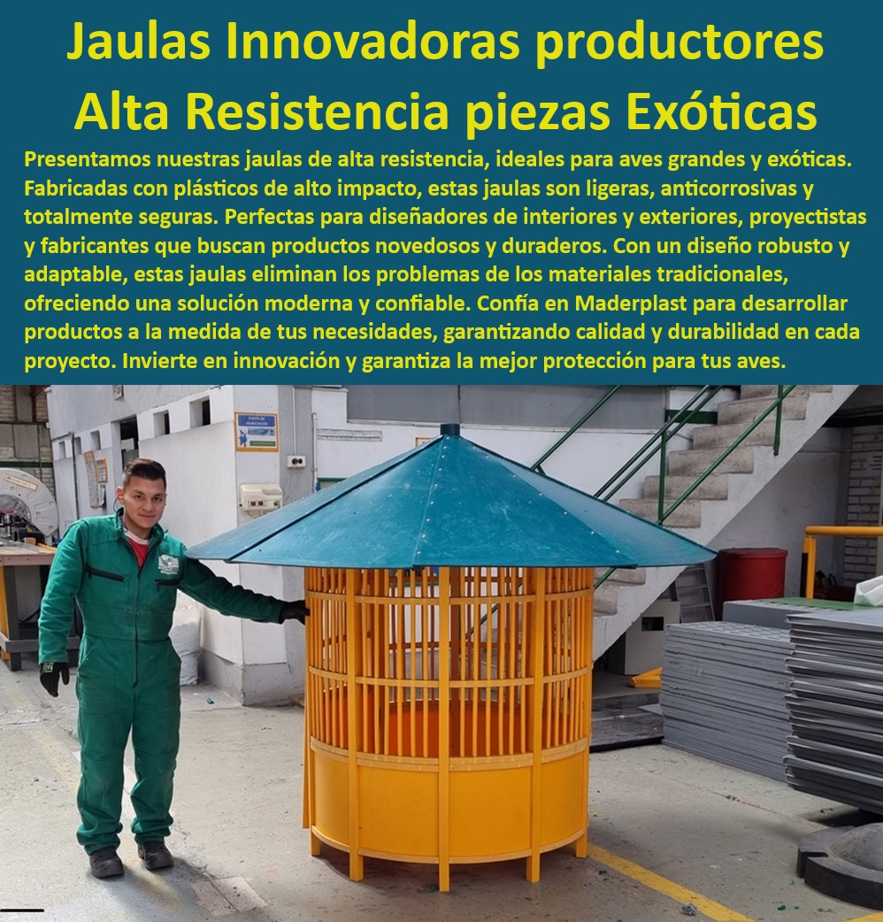 Piezas Especiales Diseño Desarrollo Y Fabricación De Piezas A Pedido Maderplast 0 Fábrica De Piezas Especiales De Plástico 0 Diseño Y Desarrollo De Proyectos Especializados 0 Diseño De Productos Jaulas Para Aves Grandes 0 Jaulas Para Pajaros  Diseño robusto para aves grandes, , Innovación en estructuras plásticas, , Refugios para aves exóticas, , Innovación y protección Maderplast, , Fabricación de estructuras resistentes, , Materiales novedosos y duraderos, , Protección anticorrosiva en recintos, , Contenedores exteriores anticorrosivos, , Estructuras anticorrosivas para pájaros, , Soluciones para aves grandes, , Diseño para interiores y exteriores, , Jaulas resistentes para aves exóticas, , Productos adaptables a proyectos, , Sistemas adaptables y seguros, , Soluciones modernas y confiables, , Creación de jaulas personalizadas, , Recintos plásticos duraderos, , Garantía de calidad y durabilidad, , Recintos para diseñadores y arquitectos, , Soluciones para exteriores resistentes, , Contenedores interiores y exteriores, , Innovadoras jaulas Maderplast, , Diseño de alta durabilidad, , Productos de alto impacto, , Recintos especializados para proyectos Piezas Especiales Diseño Desarrollo Y Fabricación De Piezas A Pedido, Maderplast 0 Fábrica De Piezas Especiales De Plástico, 0 Diseño Y Desarrollo De Proyectos Especializados, 0 Diseño De Productos Jaulas Para Aves Grandes, 0 Jaulas Para Pajaros 