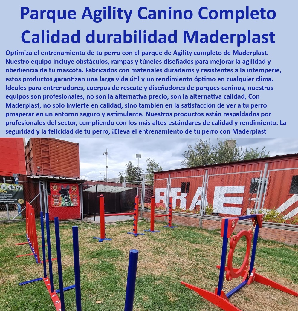 Agility de Entrenamiento Avanzado Pista De Agility Búsqueda Y Rescate Maderplast  ¿Qué equipo de adiestramiento canino es más duradero?, , Agility para perros, , Agility profesional para perros, , Ruedas y aros de agility, , Pista de entrenamiento canino, , Pista de agility resistente, , Pista de agility de alta calidad, , Obstáculos de entrenamiento avanzado, , ¿Dónde encontrar rampas para entrenamiento canino?, , Rampa de entrenamiento para perros, , Implementos de entrenamiento canino, , ¿Cuáles son los mejores obstáculos de agility?, , Obstáculos de entrenamiento canino, , Equipos de adiestramiento de perros, , Saltos y túneles de agility, , Equipos de agility para exteriores, , Obstáculos de agility seguros, , Equipos de calidad Maderplast, , Entrenamiento de perros de rescate, , Rampa para perros de rescate, , ¿Qué parque de agility es mejor para perros?, , Entrenamiento canino avanzado, , Agility para entrenamiento físico, , Equipos de agility para simulacros, , Entrenamiento canino resistente, , Agility para parques caninos, , Equipos de agility fáciles de instalar, , ¿Dónde comprar equipos de agility para perros?, , Equipos de agility duraderos, , Llanta de agility robusta 0 aros ruedas saltos Obstáculos de entrenamiento certificados para perros de rescate Equipos de entrenamiento canino para cruz roja y defensa civil pet Agility de Entrenamiento Avanzado Pista De Agility Búsqueda Y Rescate Maderplast 0 aros ruedas saltos Obstáculos de entrenamiento certificados para perros de rescate , Equipos de entrenamiento canino para cruz roja y defensa civil pet