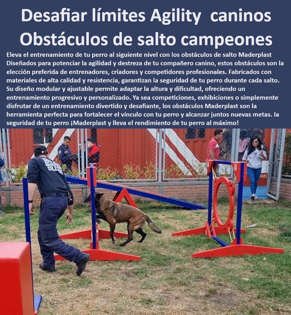 Agility de Entrenamiento Avanzado Pista De Agility Búsqueda Y Rescate Maderplast  Equipos agilidad canina ajustables para entrenadores profesionales, , Aros agilidad canina ajustables para competiciones, , ¿Equipos agilidad perros qué ofrecen?, , Parque agility canino para perros grandes y pequeños, , Kits entrenamiento agilidad canina para uso intensivo, , Obstáculos agilidad perros para todas las razas, , Equipos modulares agilidad canina para espacios pequeños, , Rampas ajustables perros con superficies antideslizantes, , Equipos agilidad perros competición con ajustes personalizables, , Entrenamiento canino exterior con materiales inoxidables, , ¿Qué parque entrenamiento es seguro para perros?, , Equipos entrenamiento canino ajustables y seguros, , Soluciones entrenamiento canino Maderplast para entrenamiento diversificado, , Rampa entrenamiento perros resistente a la intemperie, , Equipos entrenamiento canino certificados para seguridad máxima, , ¿Mejores accesorios para entrenamiento canino?, , Equipos adaptativos entrenamiento perros para diversas competencias, , Parque canino durable y fácil de instalar, , Parque entrenamiento canino profesional con garantía extendida, , Accesorios entrenamiento canino profesional antivandalismo, , Parque entrenamiento perros con garantía de durabilidad, , Seguridad garantizada en equipos entrenamiento perros, , Material resistente y anti corrosión para entrenamiento perros, , Equipos entrenamiento canino alto rendimiento para fuerzas especiales, , ¿Dónde comprar parque agility canino?, , Parque agility personalizado para cuerpos de rescate, , Parque agility canino resistente UV y salinidad marina, , ¿Cómo mejorar agilidad perro con Maderplast?, , Parque agility canino Maderplast de alta durabilidad, , Obstáculos entrenamiento perros con seguridad certificada 0 saltar torre Equipos de adiestramiento para perros de búsqueda Accesorios de adiestramiento canino de alto rendimiento Parque agility entrenamiento Agility de Entrenamiento Avanzado Pista De Agility Búsqueda Y Rescate Maderplast 0 saltar torre Equipos de adiestramiento para perros de búsqueda , Accesorios de adiestramiento canino de alto rendimiento , Parque agility entrenamiento