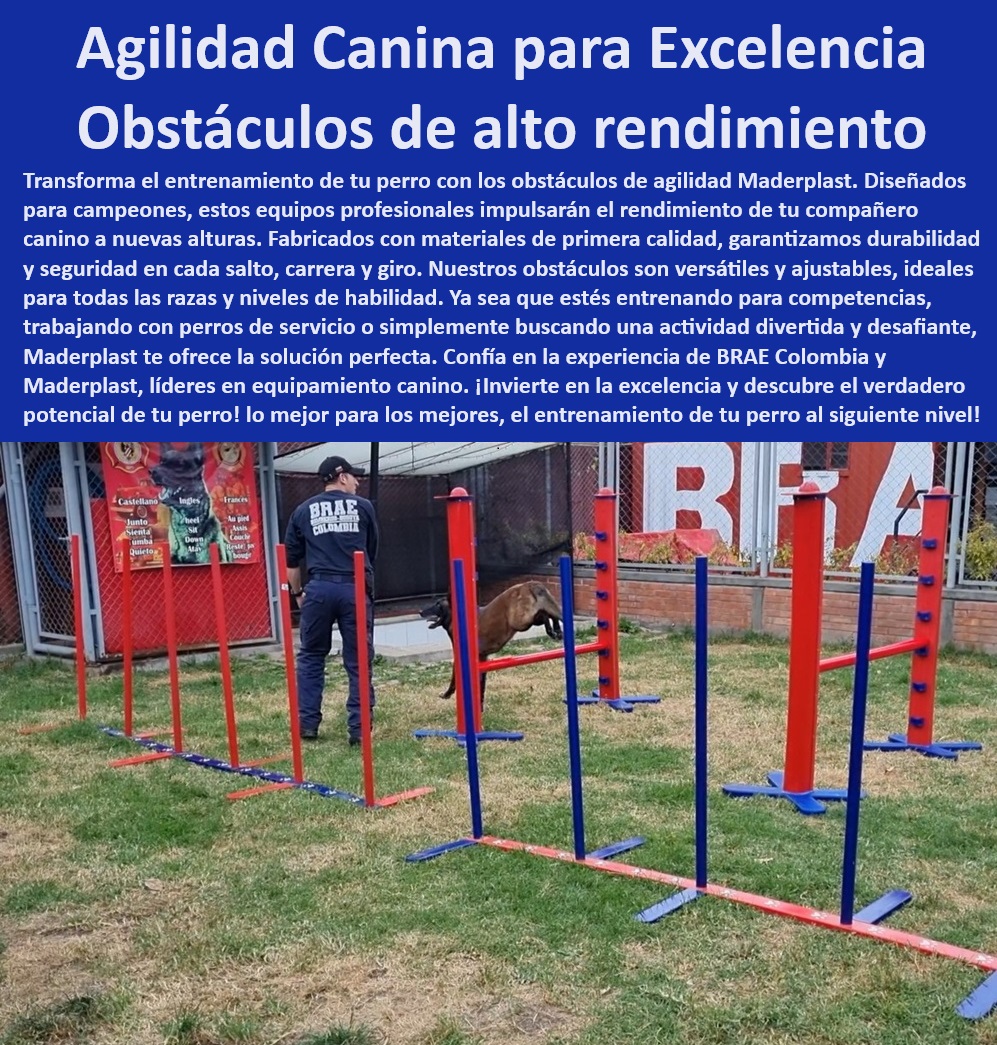 Agility de Entrenamiento Avanzado Pista De Agility Búsqueda Y Rescate Maderplast  Parque agility para entrenamiento intensivo, , Equipos agility para perros de servicio y rescate, , Kits agility canino profesionales para competición, , Obstáculos entrenamiento perros diseño modular, , Parque canino Maderplast con protección UV, , ¿Dónde puedo comprar equipos de agility canino profesionales para exteriores?, , Equipos de adiestramiento canino para hospedaje y hoteles, , Equipos entrenamiento canino para campeonatos y exhibiciones, , Parque agility portátil fácil instalación y transporte, , Soluciones agility personalizadas para adiestramiento efectivo, , Equipos caninos con acabados pulidos y estéticos, , Aros agility ajustables para entrenamiento diverso, , Accesorios agility canino de alto rendimiento, , Materiales inoxidables en parques caninos Maderplast, , Equipos entrenamiento canino Maderplast durabilidad superior, , Equipos agility para adiestramiento perros grandes, , Obstáculos de entrenamiento canino para cuerpos de rescate, , Parque agility canino ajustable alta resistencia, , Parque canino exterior para todas las razas, , ¿Cómo encontrar parques caninos duraderos y resistentes para todas las razas?, , ¿Cuáles son los beneficios de los equipos de agility Maderplast para entrenadores profesionales?, , Rampas agility robustas anti corrosión para exteriores, , ¿Cuál es el mejor parque de agility para entrenamiento intensivo de perros?, , Parque entrenamiento canino seguro y estimulante, , Obstáculos caninos con ajuste de altura personalizable, , Equipos profesionales agility para fuerzas especiales, , ¿Qué obstáculos de agility ajustables ofrece Maderplast para competiciones caninas?, , Parque canino Maderplast con garantía extendida, , Soluciones entrenamiento perros anti vandalismo y anti robo, , Accesorios entrenamiento canino resistencia climática 0 saltar torre Implementos de agility robustos y ajustables rescate Equipos de agility profesionales para entrenamiento canino Equipos de adiestrar 00 Agility de Entrenamiento Avanzado Pista De Agility Búsqueda Y Rescate Maderplast 0 saltar torre Implementos de agility robustos y ajustables rescate Equipos de agility profesionales para entrenamiento canino Equipos de adiestrar 00