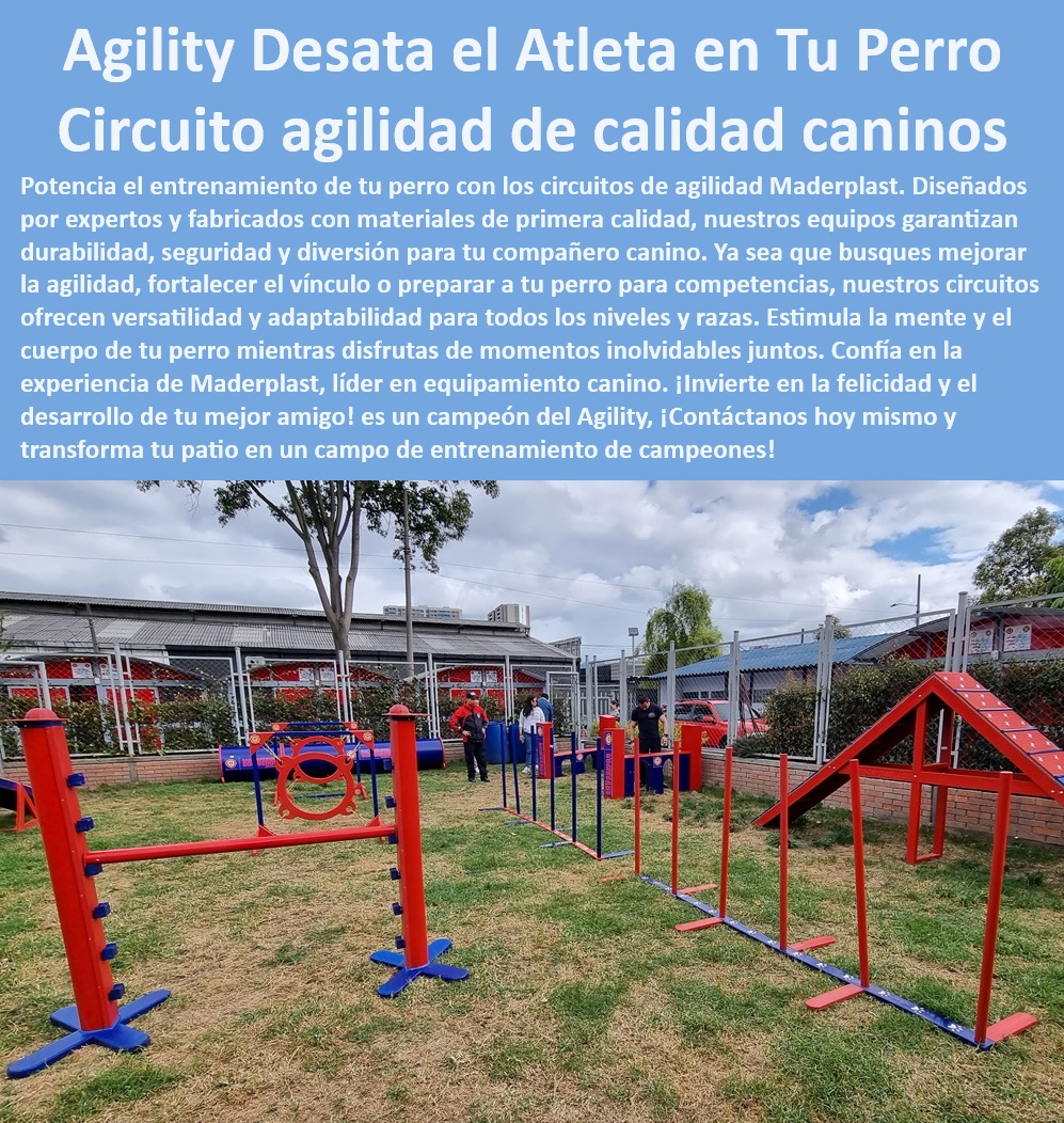 Agility de Entrenamiento Avanzado Pista De Agility Búsqueda Y Rescate Maderplast  Parques caninos duraderos exteriores, , Equipos agility robustos fácil limpieza, , Parques agility con acabados estéticos, , Parques agility tematizados entrenadores caninos, , Implementos agility modulares competiciones, , Obstáculos agility innovadores alto rendimiento, , Kits entrenamiento canino uso intensivo, , Kits entrenamiento canino seguros no tóxicos, , Equipos entrenamiento canino flexible usos múltiples, , Implementos entrenamiento resistencia climática, , Equipos agility canino garantizados durabilidad, , ¿Cómo encontrar parques de agility resistentes a la intemperie?, , ¿Cuáles son los mejores equipos de entrenamiento canino para uso exterior?, , Módulos entrenamiento agility climas extremos, , Obstáculos agility ajustables seguridad perros, , Kits agility perros todas razas, , ¿Qué accesorios de agility recomiendan para entrenamiento canino profesional?, , Accesorios entrenamiento canino profesional, , Obstáculos agility ajustables entrenamiento perros, , Equipos agility canino para parques y recintos, , Equipos entrenamiento canino alta resistencia, , Implementos caninos para entrenamiento especializado, , Obstáculos agility portátiles fácil montaje, , ¿Quién vende kits de agility canino con certificación internacional?, , Kits agility certificados para competencias internacionales, , Parques caninos personalizables entrenamiento avanzado, , Equipos agility canino con garantía extendida, , Implementos agility competencia calidad superior, , ¿Dónde puedo comprar obstáculos de agility ajustables para perros?, , Accesorios caninos exterior anticorrosión 0 salto alto entrenamiento para perros de búsqueda desastres Obstáculos de agility personalizados para rescate canino Parques caninos diseñados perro Agility de Entrenamiento Avanzado Pista De Agility Búsqueda Y Rescate Maderplast 0 salto alto entrenamiento para perros de búsqueda desastres , Obstáculos de agility personalizados para rescate canino , Parques caninos diseñados perro