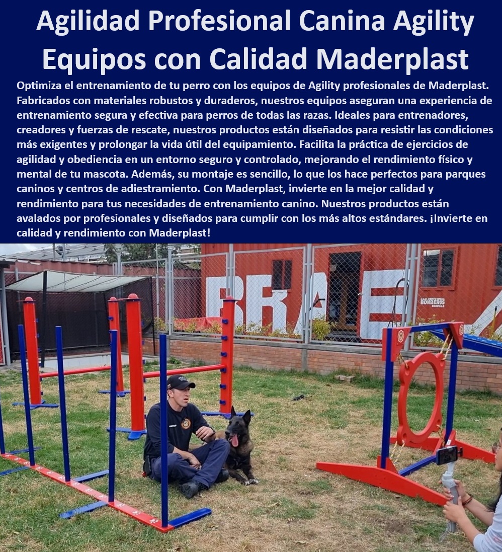 Agility de Entrenamiento Avanzado Pista De Agility Búsqueda Y Rescate Maderplast Kits de agility para entrenamiento de emergencia Rampa de agility para entrenamiento intensivo de rescate canino Equipos agility entrenamiento Agility de Entrenamiento Avanzado Pista De Agility Búsqueda Y Rescate Maderplast , Kits de agility para entrenamiento de emergencia , Rampa de agility para entrenamiento intensivo de rescate canino , Equipos agility  entrenamiento