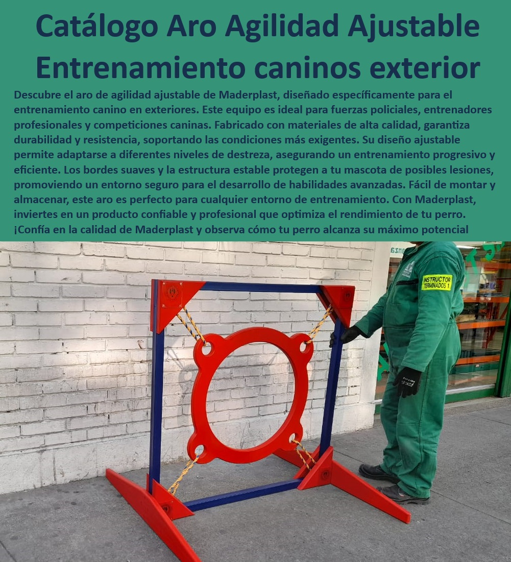 Aro De Salto De Alta Calidad Rueda Entrenamiento Anillo De Agilidad Maderplast  anillo de agilidad para perros diseño seguro y estable para evitar lesiones, , ¿Cómo puedo entrenar a mi perro con un aro de agilidad?, , aro de agilidad para perros fabricado con materiales de alta calidad y durabilidad, , aro de entrenamiento canino promueve la salud y el bienestar de tu mascota, , aro de salto ajustable fácil de montar y desmontar para mayor comodidad, , anillo de agilidad para perros resistente y duradero ideal para uso en exteriores, , anillo de agilidad para perros Maderplast invierte en el futuro de tu perro, , aro de entrenamiento canino fortalece el vínculo entre tú y tu mascota, , rueda de entrenamiento canina de alta calidad mejora la agilidad y destreza, , rueda de entrenamiento canina Maderplast la elección de los expertos en entrenamiento, , aro de entrenamiento canino Maderplast calidad y confianza para profesionales, , aro de salto ajustable el equipo perfecto para entrenar a tu perro campeón, , rueda de entrenamiento canina fortalece la conexión y comunicación con tu perro, , aro de agilidad para perros el mejor regalo para tu compañero fiel, , rueda de entrenamiento canina ideal para uso profesional y doméstico, , aro de agilidad para perros policía entrena a tu compañero canino con Maderplast, , aro de salto ajustable la herramienta esencial para el entrenamiento canino, , anillo de agilidad resistente a la intemperie ideal para uso en exteriores, , ¿Qué marca ofrece los mejores aros de entrenamiento canino?, , aro de agilidad ajustable para perros entrenamiento profesional y competiciones, , ¿Cuál es el mejor aro de entrenamiento canino para uso en exteriores?, , anillo de agilidad Maderplast garantía de calidad y satisfacción, , ¿Dónde puedo comprar un aro de agilidad ajustable para mi perro?, , ¿Qué tipo de aro de salto es más seguro para mi perro?, , rueda de entrenamiento canina aumenta la diversión y el ejercicio de tu perro, , aro de salto ajustable Maderplast mejora el rendimiento de tu perro en competiciones, , aro de entrenamiento canino desarrolla las habilidades de tu perro al máximo, , aro de entrenamiento canino ideal para perros de todas las razas y tamaños, , aro de agilidad para perros mejora la coordinación y concentración de tu mascota, , aro de salto ajustable para perros adaptable a diferentes niveles de habilidad Perros policía Aro de salto ajustable entrenamiento Aro de entrenamiento canino para uso exterior Equipamiento de entrenamiento campeonatos caninos 0 Aro De Salto De Alta Calidad Rueda Entrenamiento Anillo De Agilidad Maderplast Perros policía Aro de salto ajustable entrenamiento Aro de entrenamiento canino para uso exterior Equipamiento de entrenamiento campeonatos caninos 0 