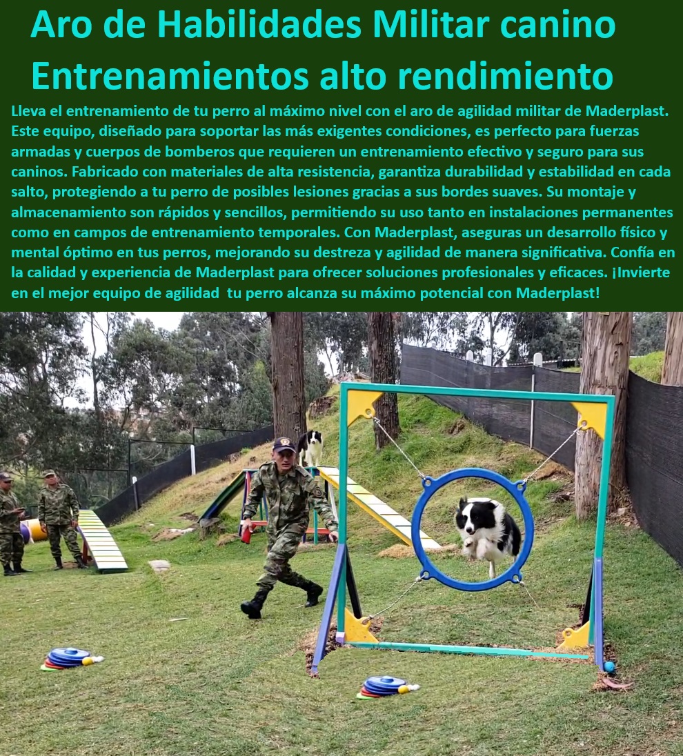 Aro De Salto De Alta Calidad Rueda Entrenamiento Anillo De Agilidad Maderplast  Soluciones de entrenamiento canino para criadores y entrenadores, , Equipos de entrenamiento canino para exteriores e interiores, , Rueda de entrenamiento resistente para uso intensivo, , Anillo de agilidad reforzado para entrenamientos efectivos, , Sistema de entrenamiento canino versátil para todos los tamaños de perros, , Sistema de entrenamiento canino con instrucciones completas, , Equipos de agilidad canina de fácil limpieza y mantenimiento, , Soluciones de entrenamiento canino personalizables para entrenadores, , Aro de salto seguro para entrenamiento de perros, , Equipamiento canino de fácil montaje y portabilidad, , Sistema de entrenamiento canino para mejor desempeño, , Equipos de agilidad duraderos para perros con garantía, , Rueda de entrenamiento canino que soporta diversas condiciones climáticas, , ¿Cuáles son los mejores aros de entrenamiento canino disponibles?, , Anillo de entrenamiento ajustable para todas las razas, , ¿Qué opciones de entrenamiento canino son recomendadas para entrenadores profesionales?, , Soluciones de entrenamiento para perros con diseño ergonómico, , Aro de entrenamiento canino con soportes estables, , ¿Cómo encuentro aros de salto de alta calidad para entrenamiento canino?, , Aro de entrenamiento canino de alta calidad para destreza, , Equipos de agilidad para perros con colores vivos y atractivos, , Equipos de agilidad para perros con alta resistencia a mordeduras, , Anillo de agilidad para perros con materiales no tóxicos, , ¿Qué equipo de entrenamiento canino ofrece la mejor relación calidad-precio?, , Aro de entrenamiento para perros con revestimiento antideslizante, , Anillo de entrenamiento canino que fomenta la agilidad y rapidez, , ¿Dónde puedo comprar equipo de agilidad duradero para mi perro?, , Rueda de agilidad canina para competencias y entrenamiento diario, , Aro de salto canino para entrenamiento de alto rendimiento, , Equipos de entrenamiento para caninos con ventilación óptima perros ejercito Aro de entrenamiento reforzado para uso intensivo Equipo de entrenamiento canino destreza y agilidad Sistema de entrenamiento perro Aro De Salto De Alta Calidad Rueda Entrenamiento Anillo De Agilidad Maderplast , perros ejercito , Aro de entrenamiento reforzado para uso intensivo , Equipo de entrenamiento canino destreza y agilidad , Sistema de entrenamiento perro