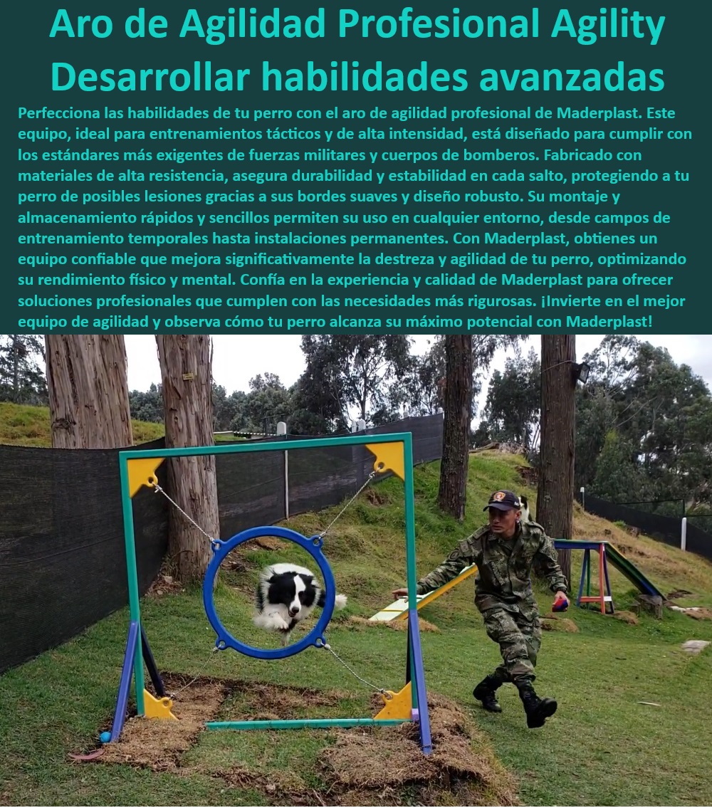 Aro De Salto De Alta Calidad Rueda Entrenamiento Anillo De Agilidad Maderplast  Anillo de entrenamiento canino resistente a mordeduras y desgaste, , Sistema de entrenamiento para perros con componentes de calidad, , Anillo de entrenamiento canino resistente y de alta calidad, , Aro de agilidad duradero para entrenamiento canino intensivo, , Soluciones de entrenamiento canino para fuerzas de seguridad, , Aro de agilidad portátil ideal para entrenadores profesionales, , Aro de agilidad canino con colores vivos y atractivos, , ¿Cuál es el mejor aro de agilidad para entrenamiento intensivo de perros?, , Aro de salto para perros fabricado para uso militar, , Anillo de entrenamiento canino para jardines o parques, , Aro de agilidad canino fácil de transportar y almacenar, , ¿Qué características debe tener un anillo de agilidad para uso militar?, , Equipos profesionales de agilidad para perros de rescate y policía, , Equipos de agilidad para entrenamiento básico y avanzado de perros, , Anillo de salto seguro y estable para perros activos, , Equipo de entrenamiento canino con soporte antideslizante, , Anillo de agilidad ajustable para diferentes razas de perros, , Anillo de agilidad para perros con garantía de durabilidad, , Equipo profesional de agilidad para perros con diseño seguro, , Aro de entrenamiento para todo clima y condiciones extremas, , ¿Cómo seleccionar un aro de entrenamiento seguro para mi perro?, , Aro de agilidad para perros, ideal para entrenadores y criadores, , Equipos de agilidad que soportan entrenamiento intensivo y diario, , Anillo de salto para entrenamiento de agilidad competitiva, , Equipos de agilidad para perros con montaje fácil y rápido, , Equipos de agilidad robustos para entrenamiento canino avanzado, , Anillo de entrenamiento canino para mejorar agilidad y destreza, , Aro de entrenamiento canino optimizado para seguridad y comodidad, , ¿Qué aro de agilidad recomiendan los profesionales para perros grandes?, , ¿Dónde puedo encontrar equipos de agilidad canina de alta durabilidad? perros ejercito Kit de agilidad para perros principiantes Anillo de salto ligero y transportable Aro de agilidad para entrenamiento básico canino 0 Aro De Salto De Alta Calidad Rueda Entrenamiento Anillo De Agilidad Maderplast , perros ejercito , Kit de agilidad para perros principiantes , Anillo de salto ligero y transportable , Aro de agilidad para entrenamiento básico canino 0