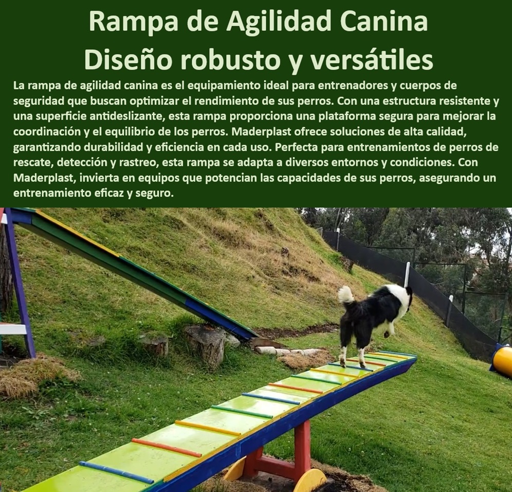 Balancín O Seesaw Para Perros Plataforma Equilibrio Coordinación Balance Maderplast  Soluciones avanzadas entrenamiento perros competencia, , Equipos especializados entrenamiento táctico canino, , Rampa entrenamiento perros resistente intemperie, , Soluciones entrenamiento canino personalizado duraderas, , Accesorios entrenamiento canino alta durabilidad, , Rampa entrenamiento resistente climas extremos, , Rampa seguridad canina entornos adversos, , Rampa robusta entrenamiento canino táctico, , Rampa canina personalizable entrenadores profesionales, , Equipos entrenamiento perros diseño ergonómico, , Rampa canina ajustes múltiples dificultades, , Rampa canina antideslizante alta resistencia, , Equipos entrenamiento perros raza grande, , Rampa canina estructura reforzada seguridad, , Soluciones eficaces entrenamiento perros servicio, , Rampa entrenamiento canino seguridad garantizada, , ¿Cuál es la mejor rampa de agilidad canina para entrenamiento profesional?, , Rampa canina entrenamiento rastreo detección, , Mejor rampa agilidad entrenamiento canino, , Rampa agilidad canina ajustable profesional, , Rampa canina seguridad optimizada entrenamientos, , ¿Cómo seleccionar una rampa de agilidad para entrenamientos intensivos de caninos?, , Rampa canina adaptabilidad condiciones diversas, , ¿Dónde puedo encontrar rampas de entrenamiento para perros que sean seguras y duraderas?, , Rampa entrenamiento canino inversión calidad, , Rampa canina portátil fácil montaje, , Rampa canina fiable entrenamiento diario, , ¿Qué rampa de agilidad es recomendable para perros en entrenamiento táctico?, , Equipos agilidad canina uso militar, , ¿Qué características debe tener una rampa de agilidad para perros de cuerpos de seguridad? perros ejército Proveedor especializado en equipos de entrenamiento canino Venta e instalación de balancines de perros Proveedor de balancines Balancín O Seesaw Para Perros Plataforma Equilibrio Coordinación Balance Maderplast , perros ejército , Proveedor especializado en equipos de entrenamiento canino , Venta e instalación de balancines de perros , Proveedor de balancines Balancín O Seesaw Para Perros Plataforma Equilibrio Coordinación Balance Maderplast , perros ejército , Proveedor especializado en equipos de entrenamiento canino , Venta e instalación de balancines de perros , Proveedor balancines canino