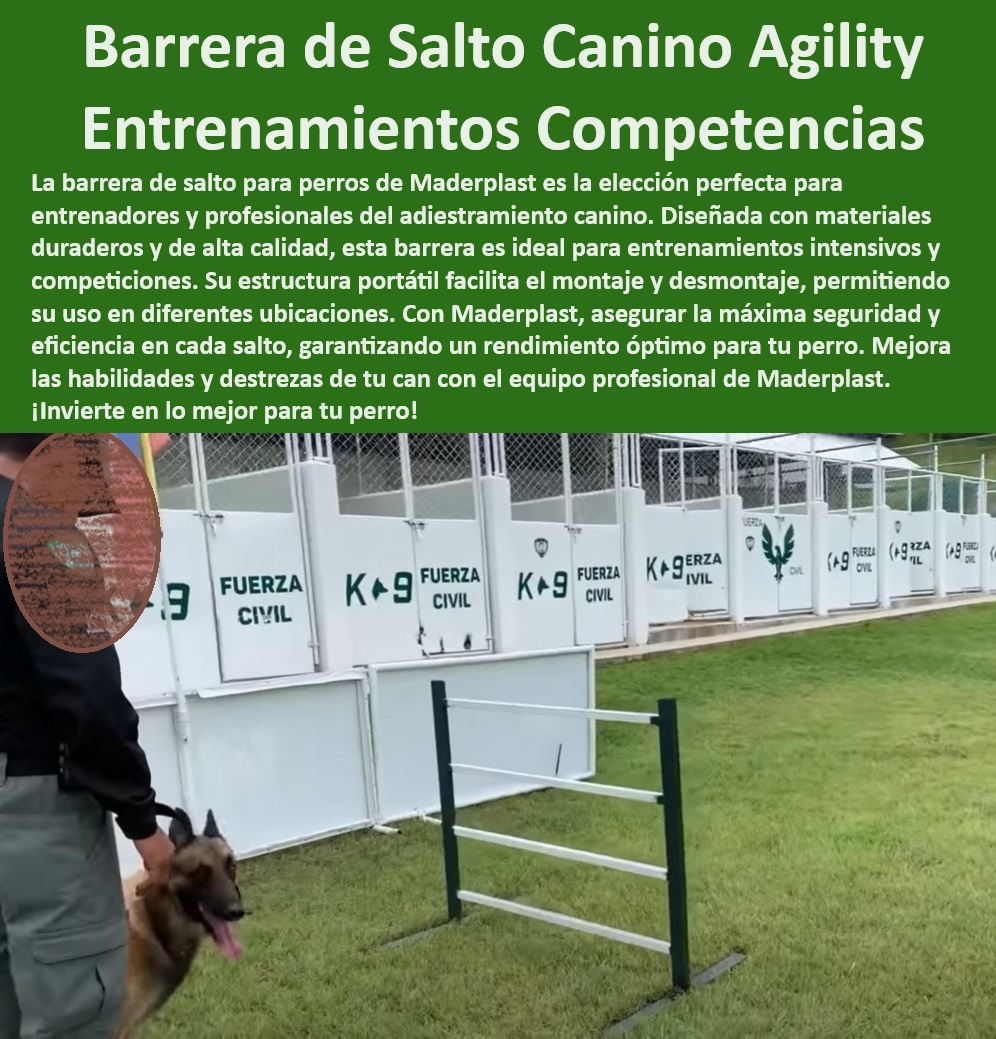 Barrera de salto agility canino obstáculo Valla Salto de agilidad perros Maderplast  Valla salto canino eficiente, , Barrera salto canino fácil montaje, , Barrera salto canino exterior, , Equipos portátiles entrenamiento canino, , Barrera portátil entrenamiento perros, , Barrera salto perros alta calidad, , Valla entrenamiento canino versátil, , Barrera salto seguridad perros, , ¿Dónde puedo comprar barreras de salto para entrenamiento canino?, , Equipos entrenamiento canino duraderos, , ¿Quién vende barreras de salto ajustables para perros?, , ¿Cómo encontrar barreras de salto seguras para perros?, , Valla entrenamiento canino robusta, , ¿Qué barrera de agility canino es más duradera?, , Equipamiento agility canino certificado, , Obstáculos agility portátiles Maderplast, , Equipamiento agility profesional Maderplast, , Barrera salto alta resistencia, , Barrera salto canino seguro, , Barrera salto canino competiciones Maderplast, , ¿Cuál es la mejor valla de agility para competiciones?, , Barrera salto perros competición, , Equipamiento entrenamiento canino portátil, , Equipos agility profesionales Maderplast, , Equipos profesionales agility canino, , Valla salto canino ajustable, , Obstáculos agility canino competiciones, , Barrera entrenamiento canino seguridad, , Barrera agility canino ajustable, , Valla agility profesional ajustable campeonatos competencias Barrera de entrenamiento portátil Barrera de salto alto para perros Equipo profesional de entrenamiento Valla de salto Barrera de salto agility canino obstáculo Valla Salto de agilidad perros Maderplast , campeonatos competencias Barrera de entrenamiento portátil , Barrera de salto alto para perros Equipo profesional de entrenamiento ,  Valla de salto