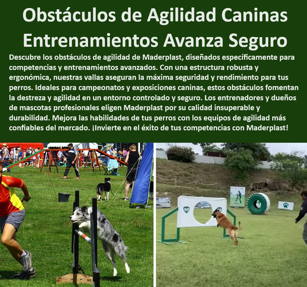 Barrera de salto agility canino obstáculo Valla Salto de agilidad perros Maderplast  Equipos entrenamiento canino avanzado, , ¿Quién vende barreras de salto ajustables y seguras para perros?, , Valla agility canina ergonómica, , Valla entrenamiento canino durable, , Obstáculos entrenamiento canino eficiente, , Valla entrenamiento canino robusta, , Obstáculo entrenamiento canino competiciones, , Valla salto canino alta calidad, , Valla salto canino ajustable, , Barrera entrenamiento canino portátil, , ¿Cómo encontrar obstáculos de entrenamiento canino seguros?, , Barrera agility canino fácil montaje, , Equipos profesionales agility canino, , Equipamiento agility profesional seguro, , Barrera salto seguridad perros, , Barrera seguridad entrenamiento canino, , Barrera de salto para competencias, , Barrera salto canino agility Maderplast, , ¿Dónde puedo comprar barreras de salto para perros?, , Valla salto canino eficaz, , Obstáculos entrenamiento mascotas Maderplast, , Barrera salto perros competición, , Equipamiento agility canino certificado, , Barrera salto canino exterior, , Equipamiento agility profesional Maderplast, , ¿Cuál es la mejor valla de agility para competiciones?, , Equipos agility canino ajustables, , Barrera entrenamiento canino versátil, , Equipos portátiles entrenamiento canino, , ¿Qué barrera de agility canino es más resistente? campeonatos competencias Obstáculos de agilidad de perros Entrenamiento avanzado de mascotas. Valla para entrenamiento de perros Diseño ergonómico 0 Barrera de salto agility canino obstáculo Valla Salto de agilidad perros Maderplast , campeonatos competencias Obstáculos de agilidad de perros Entrenamiento avanzado de mascotas. Valla para entrenamiento de perros Diseño ergonómico 0