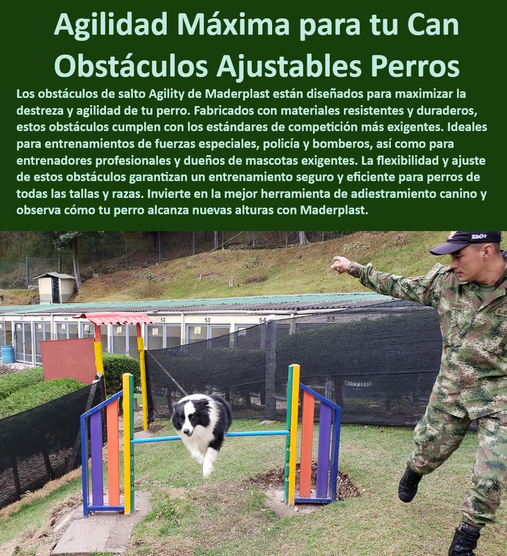 Barrera de salto agility canino obstáculo Valla Salto de agilidad perros Maderplast  Equipos de entrenamiento canino personalizados, , ¿Dónde puedo comprar vallas de salto ajustables para entrenamiento canino?, , Obstáculos agility ajustables entrenamiento canino, , Obstáculos de entrenamiento canino para policías, , Vallas de entrenamiento ajustables para K9, , ¿Cuáles son los mejores obstáculos de agility para perros grandes?, , Barreras de salto para perros de competición, , Accesorios de entrenamiento canino de alta calidad, , Barreras de agilidad canina para entrenamiento seguro, , Barreras de salto canino con ajuste de altura, , Equipo de agilidad canina de fácil montaje, , Sistema de entrenamiento de agilidad canina, , Vallas salto perros alta resistencia, , Accesorios de agilidad para entrenamiento intensivo, , Equipos de agilidad para perros grandes y pequeños, , Barreras de salto durables y seguras, , ¿Cómo seleccionar barreras de entrenamiento canino para uso intensivo?, , Barreras de agility para entrenamiento táctico, , Barreras de entrenamiento canino para todas las razas, , Accesorios de agilidad canina para exteriores, , Entrenamiento agility canino exterior, , Vallas de entrenamiento canino modulares, , ¿Qué tipo de equipo de agilidad necesito para un perro de policía?, , Obstáculos agility personalizables para adiestramiento, , Equipo de entrenamiento canino para fuerzas especiales, , Vallas de agilidad ajustables para perros, , Obstáculos de entrenamiento canino para bomberos, , ¿Cuál es la mejor barrera de agility para entrenar perros en ambientes exteriores?, , Equipo entrenamiento agilidad canina profesional, , Barreras de salto ajustables y flexibles perros Ejercito Policía salto Valla Obstáculo de salto portátil Obstáculo salto canino ajustable Flexibilidad en cada salto. Valla de salto perros 0 Barrera de salto agility canino obstáculo Valla Salto de agilidad perros Maderplast perros Ejercito Policía salto Valla Obstáculo de salto portátil Obstáculo salto canino ajustable Flexibilidad en cada salto. Valla de salto perros 0 