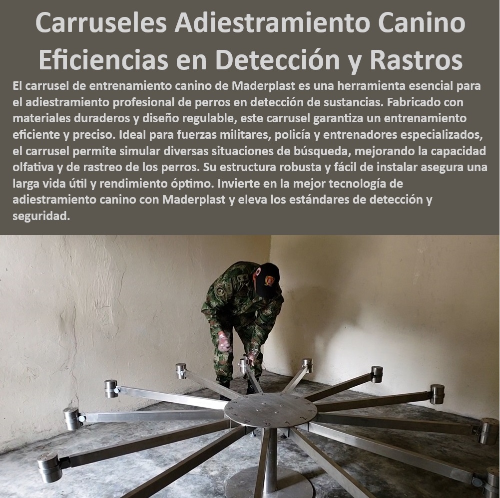 Carrusel Entrenamiento Canino para Detectar Droga rastro del olfato carrusel Maderplast  ¿Cómo funciona el carrusel de entrenamiento para detectar drogas en perros?, , ¿Qué carrusel es recomendado para entrenamiento olfativo de perros?, , Carrusel entrenamiento perros rastreo intensivo, , Equipos regulados entrenamiento canino, , Entrenamiento canino especializado detección olfativa, , Dispositivo entrenamiento canino fuerzas especiales, , ¿Cuáles son los mejores equipos para el entrenamiento de perros en detección de explosivos?, , Sistema entrenamiento detección drogas perros, , Carrusel entrenamiento canino drogas y explosivos, , Solución adiestramiento canino para detección precisa, , Carrusel adiestramiento canino fabricado para durabilidad, , Equipo profesional adiestramiento canino olfato, , Tecnología entrenamiento olfativo canino alta precisión, , Equipamiento entrenamiento olfativo perros policía, , Soluciones adiestramiento canino cuerpos de seguridad, , ¿Qué tecnología utiliza Maderplast en sus carruseles de adiestramiento canino?, , Carrusel canino para entrenamiento detección, , Carrusel entrenamiento perros detectar rastros, , Carrusel adiestramiento canino profesional, , Carrusel detección sustancias entrenamiento canino, , Equipos entrenamiento olfativo perros seguridad, , Carrusel ajustable para entrenamiento canino eficiente, , ¿Dónde puedo encontrar equipos de entrenamiento canino para la policía?, , Herramienta adiestramiento perros detección policía, , Carrusel entrenamiento canino detección sustancias, , Carrusel entrenamiento rastreo canino ajustable, , Carrusel canino ajustable para entrenamiento militar, , Sistema rastreo olfativo profesional perros, , Entrenamiento avanzado perros con carrusel Maderplast, , Equipamiento especializado adiestramiento perros Carrusel de Adiestramiento Profesional Para perros Carrusel para Perros Policía Equipamiento regulado Carrusel de Entrenamiento Detección 00 Carrusel Entrenamiento Canino para Detectar Droga rastro del olfato carrusel Maderplast , Carrusel de Adiestramiento Profesional Para perros , Carrusel para Perros Policía Equipamiento regulado , Carrusel de Entrenamiento Detección 00