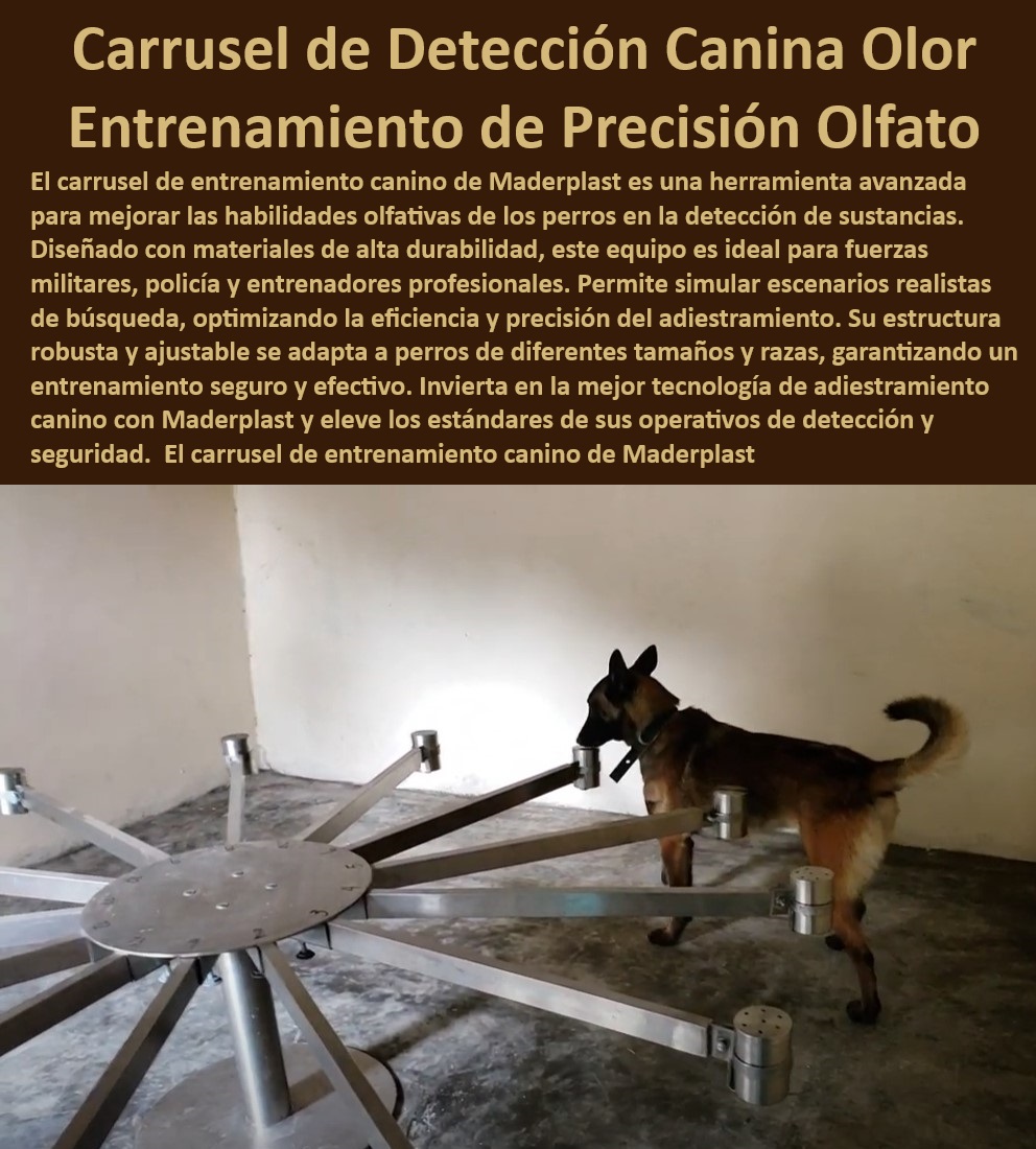 Carrusel Entrenamiento Canino para Detectar Droga rastro del olfato carrusel Maderplast  ¿Dónde puedo comprar un carrusel de adiestramiento para perros policía?, , Carrusel canino para entrenamiento olfativo avanzado, , ¿Cuál es el mejor carrusel para entrenamiento canino en detección?, , Carrusel de detección para entrenamiento canino especializado, , Adiestramiento avanzado para perros con carrusel, , Carrusel para perros de detección y rastreo olfativo, , Carrusel de adiestramiento para perros antidrogas, , Equipos profesionales para adiestramiento de perros detector, , Carrusel canino robusto para entrenadores profesionales, , Carrusel de entrenamiento para perros con estructura duradera, , Equipos de entrenamiento canino de alto rendimiento, , Equipo de adiestramiento para detección de drogas, , Herramienta de adiestramiento olfativo para fuerzas militares, , Tecnología avanzada en adiestramiento canino de Maderplast, , Equipos de adiestramiento canino para competencias, , Carrusel de entrenamiento antinarcóticos para perros, , ¿Cómo mejora el carrusel de Maderplast las habilidades olfativas de los perros?, , Adiestramiento canino olfativo en entornos controlados, , Carrusel de Maderplast para entrenamiento de perros militares, , Equipo canino de adiestramiento en detección precisa, , Soluciones de entrenamiento canino para narcóticos, , Sistemas de entrenamiento olfativo canino de alta precisión, , Sistema de entrenamiento olfativo para perros de policía, , Carrusel canino para mejorar habilidades de búsqueda, , Carrusel de adiestramiento canino para fuerzas de seguridad, , Carrusel de entrenamiento para perros de trabajo, , Equipos de detección canina para sustancias ilícitas, , ¿Qué equipo recomienda Maderplast para el entrenamiento de detección canina?, , ¿Qué características tiene el carrusel canino de Maderplast para entrenadores profesionales?, , Carrusel de entrenamiento canino personalizable Carrusel de Detección perro Militar Máxima durabilidad Carrusel Canino Antinarcóticos Entrenamiento avanzado Equipo de Adiestramiento en olor Carrusel Entrenamiento Canino para Detectar Droga rastro del olfato carrusel Maderplast , Carrusel de Detección perro Militar Máxima durabilidad , Carrusel Canino Antinarcóticos Entrenamiento avanzado Equipo de Adiestramiento en olor