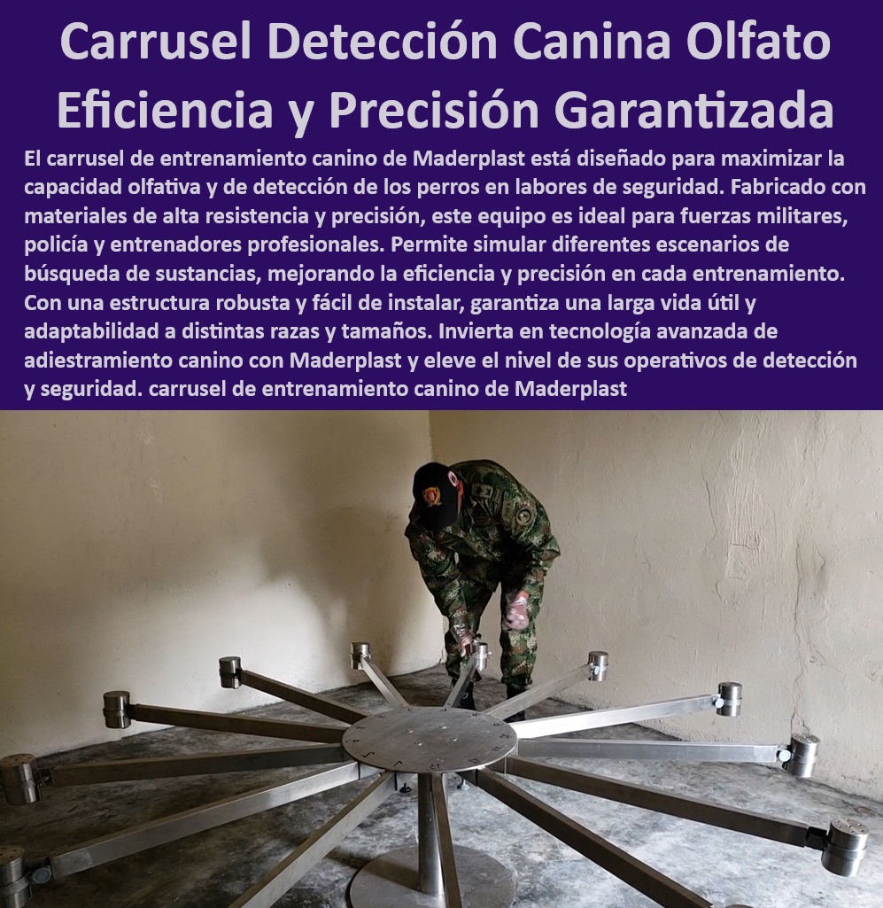 Carrusel Entrenamiento Canino para Detectar Droga rastro del olfato carrusel Maderplast  ¿Cuáles son los beneficios del carrusel de detección canina de Maderplast?, , Carrusel canino para mejorar detección de drogas, , Carrusel canino para entrenamiento en detección de sustancias ilícitas, , Equipos de adiestramiento para perros policía, , Carrusel para entrenamiento de detección canina, , Adiestramiento canino especializado en detección de sustancias, , Equipos especializados para entrenamiento de perros de búsqueda, , Carrusel de adiestramiento canino de alta precisión, , Carrusel de entrenamiento para perros con diseño robusto, , Equipos de adiestramiento canino para operativos antinarcóticos, , Carrusel de entrenamiento para detección olfativa en perros, , ¿Dónde puedo comprar un carrusel canino para entrenamiento de precisión?, , ¿Qué equipo recomiendan para el adiestramiento avanzado de perros policía?, , Equipos avanzados para entrenamiento olfativo canino, , ¿Cuál es el mejor equipo para entrenar perros en detección de drogas?, , Soluciones Maderplast para adiestramiento canino avanzado, , Adiestramiento avanzado para perros de operativos especiales, , Sistemas de entrenamiento para perros en labores de seguridad, , Mejores prácticas en adiestramiento canino para detección, , Equipos de precisión para entrenamiento canino en detección, , Equipos de entrenamiento canino para fuerzas de seguridad, , Equipos de entrenamiento canino con garantía de durabilidad, , Herramienta de adiestramiento para perros detector de drogas, , Soluciones efectivas para entrenamiento de perros en narcóticos, , Carrusel canino para ejercicios de rastreo y detección, , Equipos profesionales para adiestramiento olfativo de perros, , Carrusel de adiestramiento para mejorar capacidades olfativas caninas, , ¿Cómo funciona el carrusel de adiestramiento canino de Maderplast?, , Carrusel olfativo para adiestramiento en sustancias controladas, , Tecnología de entrenamiento canino para detección precisa Entrenador Canino de Sustancias Eficiencia y precisión Estación Canina de Capacitación en Drogas Soporte técnico completo Equipos Adiestrar Carrusel Entrenamiento Canino para Detectar Droga rastro del olfato carrusel Maderplast , Entrenador Canino de Sustancias Eficiencia y precisión , Estación Canina de Capacitación en Drogas Soporte técnico completo , Equipos Adiestrar