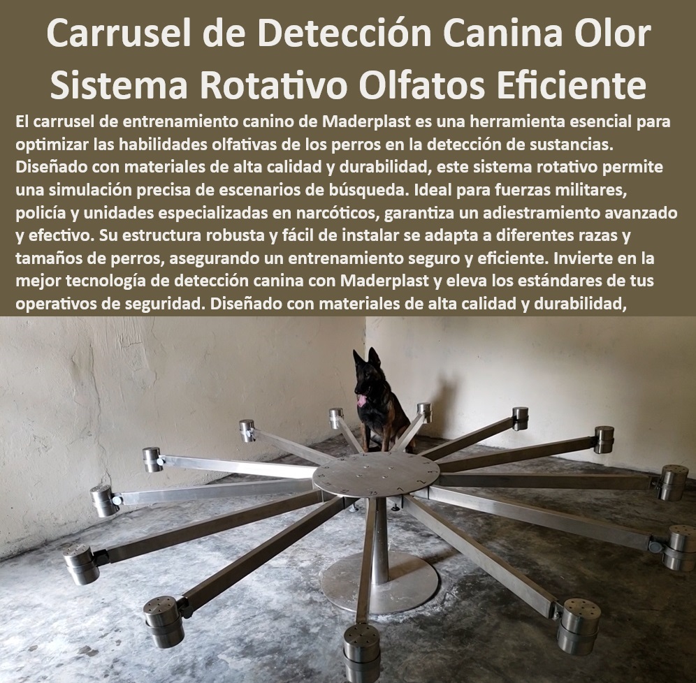 Carrusel Entrenamiento Canino para Detectar Droga rastro del olfato carrusel Maderplast  Detección de sustancias con perros, , Carrusel de entrenamiento canino ajustable, , ¿Cuál es el mejor sistema de entrenamiento para perros de policía?, , Equipos para narcóticos caninos, , ¿Dónde puedo comprar un carrusel de entrenamiento canino?, , Equipos para detección de drogas en perros, , ¿Cómo entrenar a mi perro para detectar narcóticos?, , Carrusel adiestramiento canino Maderplast, , Equipos de entrenamiento canino para detección de narcóticos, , ¿Cómo mejorar la detección olfativa en perros?, , Implementos para adiestramiento operativo de perros, , Tecnología para entrenamiento olfativo canino, , ¿Qué equipo es necesario para el entrenamiento de detección en perros?, , Soluciones para adiestramiento canino policial, , Herramientas de precisión en adiestramiento canino, , Carrusel para entrenamiento olfativo de perros, , Carrusel Maderplast detección olfativa, , Entrenamiento canino militar, , Técnicas de entrenamiento para detección de sustancias en perros, , Innovaciones en adiestramiento canino para detección, , Entrenamiento olfativo para perros, , Entrenamiento de alto rendimiento para perros, , Mejores técnicas de entrenamiento olfativo para perros, , Plataforma profesional para entrenamiento canino, , Estación de entrenamiento canino para detección, , Equipos de seguridad para entrenamiento canino, , Equipamiento policial canino, , Carrusel olfativo para entrenamiento canino, , Sistema rotativo para entrenamiento canino, , Sistemas avanzados para adiestramiento de perros Estación de Entrenamiento de Olfato Canino Detección especializada narcóticos Sistema Rotativo de Entrenamiento Canino Entrenamiento Narcóticos 0  Carrusel Entrenamiento Canino para Detectar Droga rastro del olfato carrusel Maderplast Estación de Entrenamiento de Olfato Canino Detección especializada narcóticos Sistema Rotativo de Entrenamiento Canino Entrenamiento Narcóticos 0  