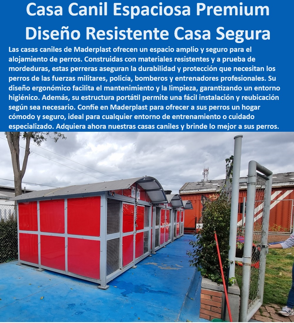 Casas Caniles Perreras Espaciosas Premium Canil Reglamentario Ideal Maderplast  Casa canil resistente y duradera, , Casa para perros fácil mantenimiento, , ¿Qué canil es fácil de limpiar y mantener?, , Casa canil resistente a mordeduras, , Canil portátil de alta calidad, , Refugio resistente al clima extremo, , Refugio para perros especializado, , ¿Dónde encontrar un canil seguro para perros?, , Canil ergonómico para perros, , Canil portátil para eventos caninos, , ¿Cuál es la mejor casa para perros grandes?, , Refugio climatizado para perros, , Canil seguro para perros de trabajo, , Perrera con ventilación adecuada, , Casa para perros ergonómica y segura, , Canil robusto de fácil montaje, , Canil duradero para exteriores, , Perrera con diseño ergonómico, , Refugio para perros fácil de limpiar, , Canil cómodo y fácil instalación, , Casa para perros fácil de reubicar, , Canil de alta resistencia y calidad, , Casa para perros materiales resistentes, , ¿Qué refugio para perros es resistente a mordeduras?, , Canil espacioso premium seguro, , Refugio seguro para perros grandes, , Refugio portátil adaptable, , ¿Cómo montar un canil portátil para eventos?, , Canil para perros fuerzas armadas, , Perrera amplia y cómoda Caniles Casas para perros a prueba de mordeduras Caniles Materiales resistentes Caniles Salas Cunas perros de fácil mantenimiento. Caniles portátiles 0 Casas Caniles Perreras Espaciosas Premium Canil Reglamentario Ideal Maderplast , Caniles Casas para perros a prueba de mordeduras Caniles Materiales resistentes , Caniles Salas Cunas perros de fácil mantenimiento. Caniles portátiles 0