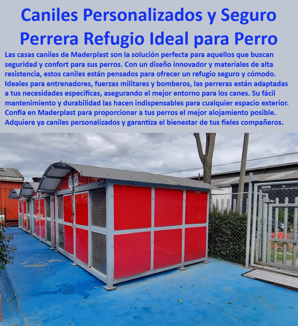 Casas Caniles Perreras Espaciosas Premium Canil Reglamentario Ideal Maderplast  Casa canil para bomberos, , Canil ergonómico y práctico, , Canil especializado para perros, , Casa para perros de alta resistencia, , Casa canil portátil, , Canil para perros duradero, , ¿Dónde comprar caniles personalizados para perros?, , Perrera para entrenamiento canino, , Refugio para perros sin humedad, , Refugio personalizado para perros, , ¿Qué canil es resistente y seguro para perros?, , Refugio ideal para perros, , Refugio para perros con ventilación, , Refugio perros de alta durabilidad, , Canil robusto para exteriores, , Canil resistente y seguro, , Casa canil todo clima, , Perrera adaptable a necesidades, , Perrera con diseño innovador, , Perrera segura y confortable, , Canil para fuerzas militares, , Canil cómodo y seguro, , Canil resistente a mordeduras, , ¿Qué refugio para perros es de fácil mantenimiento?, , ¿Cuál es el mejor refugio exterior para perros?, , Canil de fácil mantenimiento, , Casa canil espaciosa premium, , ¿Cómo elegir un canil ergonómico para perros?, , Caniles personalizados seguros, , Refugio exterior para perros Caniles de perros personalizadas Adaptadas a tus necesidades Madrigueras perros que ofrecen un refugio seguro Caniles Alojamientos perrera exterior 0 Casas Caniles Perreras Espaciosas Premium Canil Reglamentario Ideal Maderplast , Caniles de perros personalizadas Adaptadas a tus necesidades , Madrigueras perros que ofrecen un refugio seguro ,  Caniles Alojamientos perrera exterior