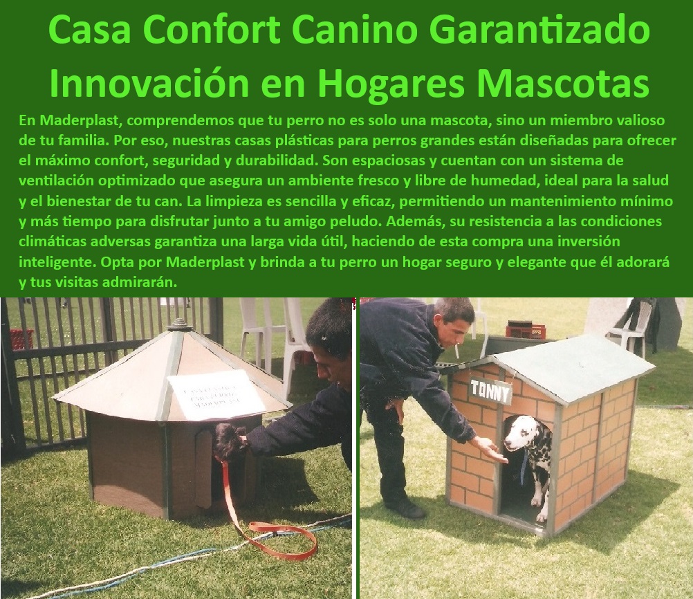 Casas Mascotas Alta Calidad Casitas Para Perros Perreras Plásticas Maderplast  Casas para perros pequeños seguras y confortables, , Soluciones de vivienda externa para perros grandes, , Perreras plásticas con garantía de durabilidad, , Soluciones de vivienda para mascotas durables, , Casas para perros con estilo y funcionalidad, , Casas para perros grandes con aislamiento térmico, , Perreras con sistema anti-mordeduras, , Casas para mascotas aptas para todos los climas, , Alojamientos para mascotas con diseño elegante, , Perreras con diseño personalizado para mascotas, , Casas para perros con materiales no tóxicos, , Casas para perros fáciles de montar, , Casitas para perros con resistencia climática, , ¿Cómo encontrar casas para perros con buen aislamiento térmico?, , Alojamiento para perros con acabados de alta calidad, , ¿Qué casas para perros ofrecen la mejor relación calidad-precio?, , Refugio ideal para perros en exteriores, , Refugios para perros con fácil limpieza, , Refugios para mascotas con ventilación óptima, , Alojamientos seguros para perros con espacio amplio, , Caniles para perros con protección UV, , Caniles espaciosos para perros en exteriores, , ¿Dónde puedo comprar casas para perros resistentes al clima?, , Casas de perros para condiciones extremas, , Perreras seguras para jardín con estilo, , ¿Cuál es la mejor perrera exterior para grandes razas?, , Caniles modernos para perros de Maderplast, , ¿Cuáles son las casas para mascotas más fáciles de limpiar en el mercado?, , Perreras plásticas resistentes exteriores, , Casas para perros duraderas y seguras Alojamiento perro fácil limpieza sin olores Cunas para cachorros seguras y confortables Camas para perros con diseño ortopédico para mayor confort Pet Casas Mascotas Alta Calidad Casitas Para Perros Perreras Plásticas Maderplast , Alojamiento perro fácil limpieza sin olores , Cunas para cachorros seguras y confortables , Camas para perros con diseño ortopédico para mayor confort Pet