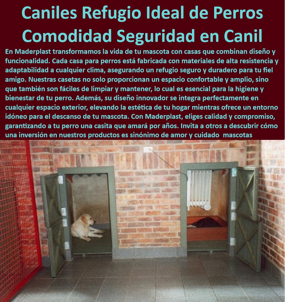 Casas Mascotas Alta Calidad Casitas Para Perros Perreras Plásticas Maderplast  Soluciones Maderplast para mascotas en exteriores, , Caniles seguros y cómodos para perros, , ¿Qué casas para perros son mejores para exteriores?, , Caniles para todas las razas y tamaños, , Caniles de plástico de alta calidad para perros, , Casas para perros adaptativas a cualquier clima, , Soluciones de vivienda segura para perros, , Caniles robustos y elegantes, , Caniles estéticos para decoración de exteriores, , Caniles que mejoran la vida de tu mascota, , Caniles de lujo para jardines, , ¿Cuál es la marca recomendada para caniles duraderos?, , Caniles diseñados para el amor y cuidado de las mascotas, , Casas para perros con alta resistencia climática, , Alojamientos para perros con protección garantizada, , Caniles Maderplast para confort animal, , ¿Dónde puedo comprar un canil seguro para mi perro?, , Comprar canil resistente para perros grandes, , Comodidad premium en caniles para perros, , Casas para perros con ambiente mejorado, , Diseños innovadores de caniles para mascotas, , Caniles de diseño integrado para exteriores, , Inversiones en productos para el cuidado de mascotas, , Refugio duradero para mascotas, , Caniles de fácil mantenimiento y limpieza, , Equipamiento exterior para perros de Maderplast, , Mejores caniles para seguridad de mascotas, , ¿Qué caniles ofrecen la mejor seguridad y confort?, , ¿Cómo seleccionar un canil adecuado para clima extremo?, , Casas seguras para mascotas activas Alojamientos Casetas para perros modernas Casitas para cachorros seguras mascotas Casitas para perros de exterior protección contra todo clima Alojar Casas Mascotas Alta Calidad Casitas Para Perros Perreras Plásticas Maderplast , Alojamientos Casetas para perros modernas , Casitas para cachorros seguras mascotas , Casitas para perros de exterior protección contra todo clima, Alojar