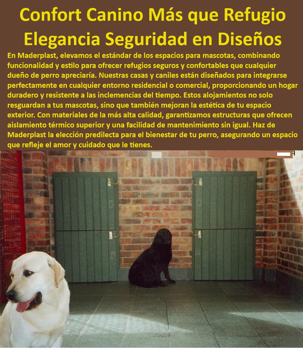 Casas Mascotas Alta Calidad Casitas Para Perros Perreras Plásticas Maderplast  Caniles con garantía de durabilidad, , ¿Cuáles son las mejores casas para perros con diseño moderno?, , Casetas de perros con diseño superior, , Refugios innovadores para perros, , Caniles de diseño exterior, , Refugios para perros resistentes, , Casas para mascotas con aislamiento, , Caniles de fácil mantenimiento, , Refugios estilizados para mascotas, , Seguridad en casetas cabinas, , Casetas de perros para interiores y exteriores, , Casetas de perros para todo clima, , Caniles estéticos para jardines, , ¿Cómo encuentro una caseta de perro segura y durable?, , Caniles perfectos para patios, , Casas para perros con acabados de calidad, , Soluciones de vivienda para perros grandes, , Estructuras seguras para perros activos, , Mobiliario funcional para mascotas, , Casetas seguras para perros, , Alojamientos caninos duraderos, , ¿Qué tipo de caseta es mejor para un clima extremo?, , Protección y estilo en casetas para perros, , Alojamientos para perros personalizables, , ¿Qué casetas para perros recomiendan para exteriores?, , Casetas caninas de alto rendimiento, , Soluciones habitacionales para mascotas, , Comodidad premium para perros, , ¿Dónde puedo comprar caniles de alta calidad?, , Mobiliario exterior para mascotas Alojamientos seguros para perros confort y seguridad garantizados Casas perro exterior durable patios y jardines Caniles dormitorio perros aislamiento Casas Mascotas Alta Calidad Casitas Para Perros Perreras Plásticas Maderplast , Alojamientos seguros para perros confort y seguridad garantizados , Casas perro exterior durable patios y jardines , Caniles dormitorio perros aislamiento