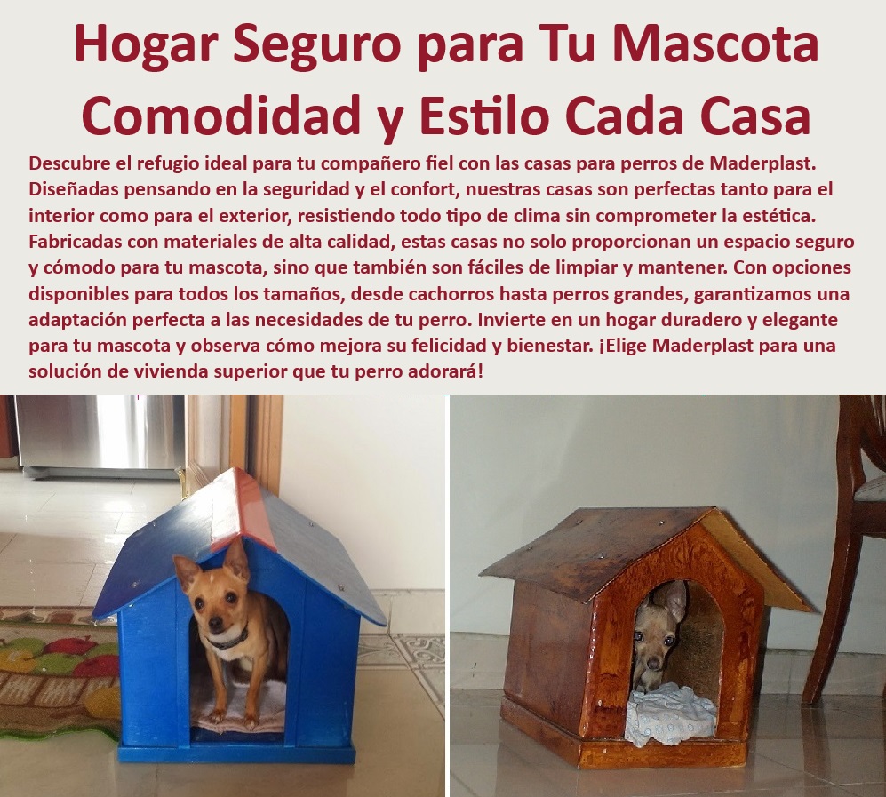 Casas Mascotas Alta Calidad Casitas Para Perros Perreras Plásticas Maderplast  Casas para perros fácil de limpiar y mantener, , Casitas plásticas resistentes a climas extremos para perros, , Casas para cachorros con seguridad garantizada Maderplast, , Caniles decorativos y funcionales para jardines, , Casas para mascotas con diseño personalizado Maderplast, , Alojamiento de lujo para perros grandes Maderplast, , Casas para perros con aislamiento térmico superior, , Inversión inteligente en casas para perros Maderplast, , ¿Maderplast tiene casas para perros con garantía de durabilidad?, , Refugios con estilo para perros que mejoran la decoración del hogar, , Refugio duradero para perros con diseño elegante, , ¿Cómo puedo encontrar casas para perros que no retienen olores?, , Viviendas seguras para perros resistente a mordeduras, , ¿Qué casas para perros ofrecen la mejor seguridad y confort?, , Viviendas para perros que ofrecen confort todo el año, , Casas para perros exterior resistentes Maderplast, , Soluciones de vivienda exterior para mascotas con estilo, , ¿Cuáles son las mejores casas para perros para exteriores?, , Refugios elegantes para perros con protección climática, , Maderplast casas de mascotas para todos los tamaños, , Casas para perros con diseño ortopédico para mayor confort, , Casas de perro para interiores y exteriores Maderplast, , Hogar seguro y estilizado para mascotas Maderplast, , Caniles de plástico de alta calidad para jardín, , Perreras duraderas y seguras para uso exterior, , Alojamientos para perros con ventajas estéticas y prácticas, , Casitas de perros inoxidables y con garantía, , Soluciones de alojamiento para perros para climas adversos, , Caniles para perros con fácil acceso y limpieza, , ¿Dónde puedo comprar casas para perros resistentes al clima? Caniles espaciosos para jardín amplios y robustos para exteriores Perreras seguras exteriores resistencia climática Casas mascotas alta calidad pet Casas Mascotas Alta Calidad Casitas Para Perros Perreras Plásticas Maderplast , , Caniles espaciosos para jardín amplios y robustos para exteriores , Perreras seguras exteriores resistencia climática , Casas mascotas alta calidad pet