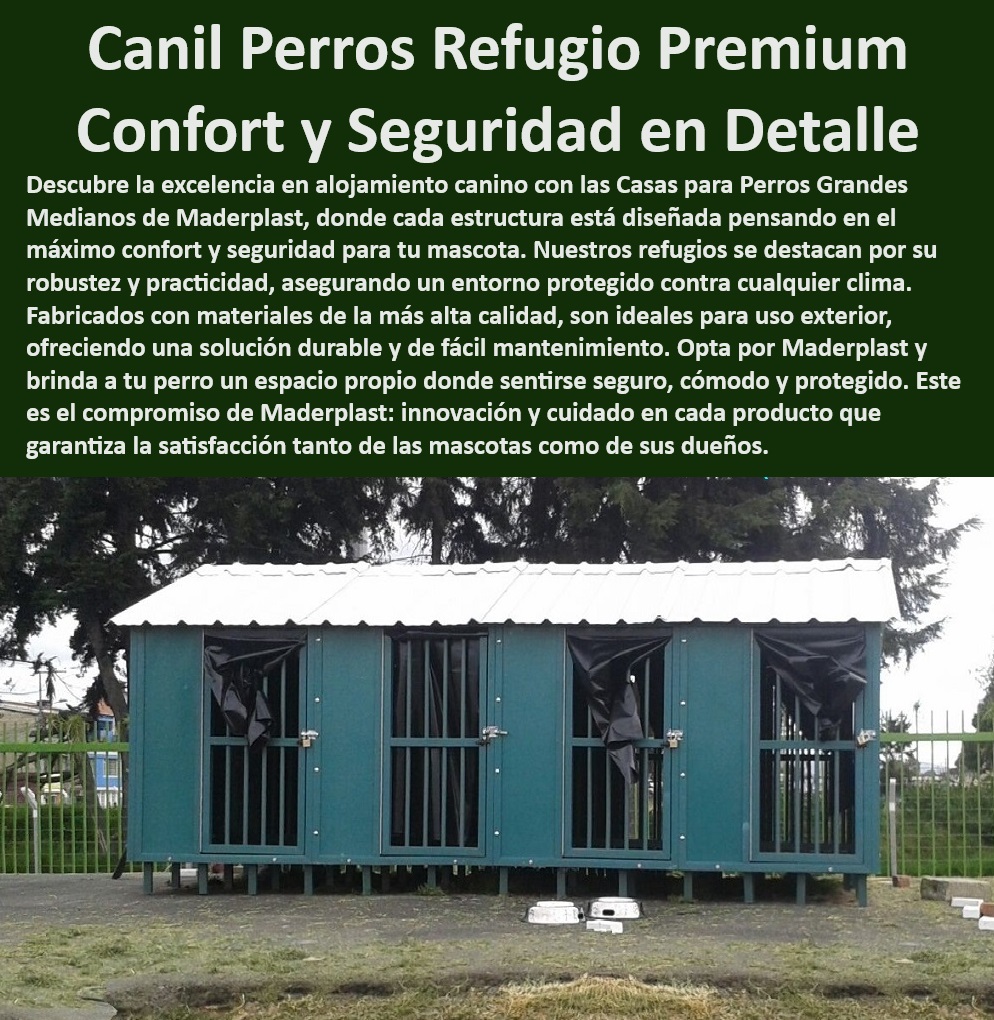 Casas Mascotas Caniles Alta Calidad Canil Para Perros Perreras Plásticas Maderplast  Canil perro robusto soporta todas las actividades, , ¿Cómo encontrar caniles seguros para mascotas que aseguren su bienestar?, , Perreras plásticas Maderplast limpieza fácil, más tiempo para ti, , Refugio canino personalizado adaptado a las necesidades de tu perro, , Alojamiento canino seguro tu paz mental, , Equipamiento canino especializado para los cuidadores más dedicados, , Caniles mantenimiento fácil ahorra tiempo y esfuerzo, , Alojamiento perro exterior protección climática superior, , ¿Cuál es el mejor canil para perros grandes que ofrece máximo confort?, , Caniles higiénicos perros previene enfermedades, , Casa perro protección climática refugio seguro todo el año, , Canil exterior Maderplast durabilidad excepcional, , Perreras exteriores seguras protege a tu perro en cualquier ambiente, , ¿Cuáles son las mejores opciones de casas para perros en clima húmedo que protejan de la, , Soluciones alojamiento canino mejora la calidad de vida de tu mascota, , Perreras para entrenamiento optimiza el rendimiento de tu perro, , Refugio canino durable inversión que perdura, , Casa perro elevada alejada de humedad y plagas, , Casas para perros entrenamiento estimula su agilidad y destreza, , Canil alta resistencia resiste cualquier desafío, , Perrera higiénica fácil limpiar salud óptima para tu perro, , Casas perros grandes espacio amplio y confortable, , Refugios perros calidad confort premium para tu mascota, , Canil resistente intemperie inversión a largo plazo, , Refugio canino seguro tranquilidad total, , ¿Dónde comprar un canil resistente para exteriores que dure años?, , ¿Qué caniles para perros recomiendan para el jardín que mejoren su entrenamiento?, , Canil seguro mascotas seguridad que puedes confiar, , Canil perros duradero seguridad garantizada, , Instalación canina profesional elige lo mejor para entrenamiento Casas para perros elevadas Protección contra humedad plagas Perreras higiénicas fáciles de limpiar Mantenimiento mínimo Refugios para perros PET Casas Mascotas Caniles Alta Calidad Canil Para Perros Perreras Plásticas Maderplast , Casas para perros elevadas Protección contra humedad plagas , Perreras higiénicas fáciles de limpiar Mantenimiento mínimo , Refugios para perros PET