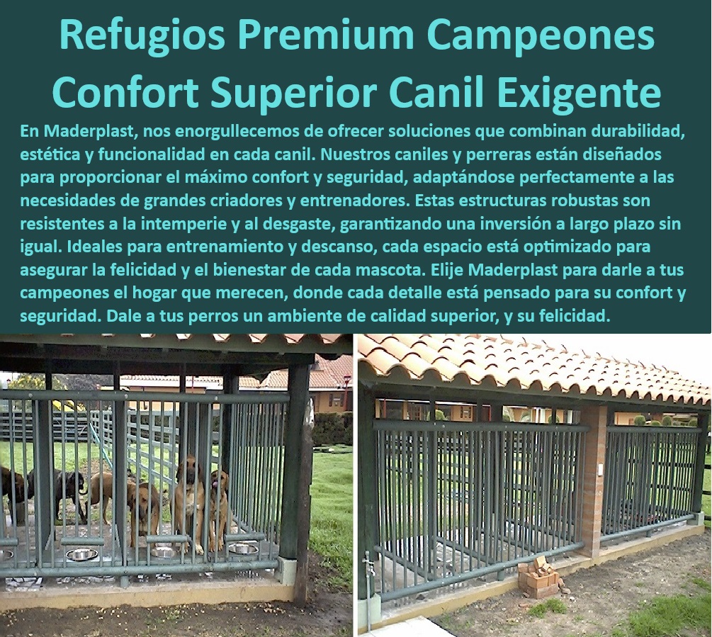 Casas Mascotas Caniles Alta Calidad Canil Para Perros Perreras Plásticas Maderplast  Estaciones de descanso canino para guarderías y hoteles de perros, , "¿Cuáles son los mejores caniles para entrenamiento canino profesional?", , Caniles Maderplast especializados para fuerzas de seguridad canina, , "¿Dónde puedo comprar un canil resistente para perros grandes?", , Canil de diseño ergonómico para seguridad de mascotas, , "¿Cómo encuentro un canil confortable para perros de alta competencia?", , Caniles de fácil limpieza y mantenimiento Maderplast, , Caniles con protección garantizada contra la intemperie, , Refugios seguros para perros en entrenamiento profesional, , Refugios caninos de calidad superior para espacios públicos, , "¿Cuál es el mejor canil para perros que garantice seguridad y comodidad?", , Soluciones de vivienda para perros grandes y pequeños, , Caniles diseñados para la máxima comodidad canina, , Refugios durables para perros de todas las razas, , Caniles para perros que promueven la salud y bienestar animal, , Estaciones de descanso premium para perros activos, , Caniles premium resistentes para entrenamiento de perros, , Alojamientos caninos robustos para competiciones y eventos, , Alojamientos para perros con materiales de alta resistencia, , Caniles personalizados para necesidades específicas de entrenadores, , Caniles de lujo Maderplast para entrenadores caninos, , Canil confort superior para criadores profesionales, , "¿Qué tipo de canil recomienda Maderplast para un criadero de perros?", , Caniles seguros y confortables para entornos residenciales, , Caniles de alto rendimiento para perros campeones, , Canil ideal para entrenadores de perros de servicio, , Sistemas de alojamiento canino para uso intensivo, , Refugios adaptativos para diferentes climas y condiciones, , Caniles óptimos para entrenamiento y descanso canil, , Caniles estéticos y funcionales para parques y residencias Guardería premium para perros Ideal para criadores Caniles para perros en múltiples tamaños Guarderías varias razas ideal para entrenadores y cría 0 Casas Mascotas Caniles Alta Calidad Canil Para Perros Perreras Plásticas Maderplast Guardería premium para perros Ideal para criadores Caniles para perros en múltiples tamaños Guarderías varias razas ideal para entrenadores y cría 0 