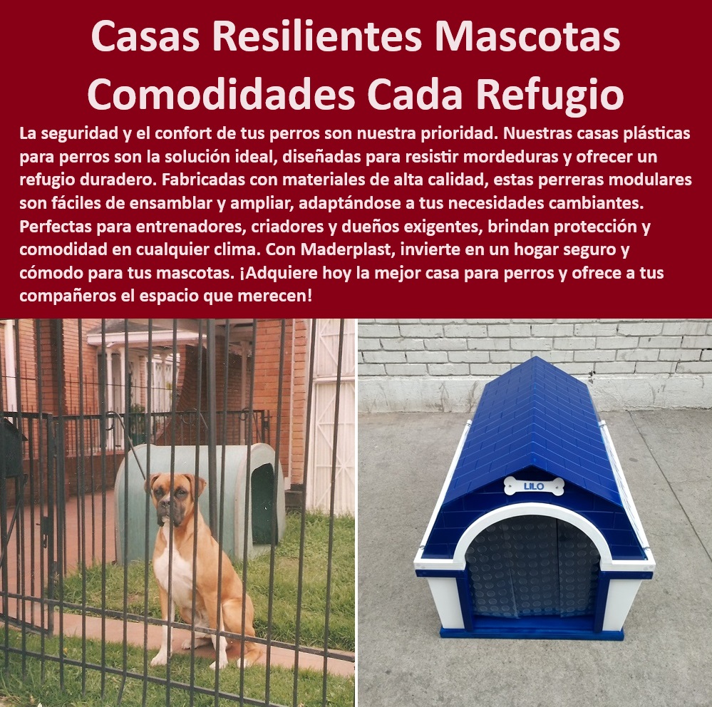 Casas Plásticas Para Perros Perreras Amplias Canil A Prueba De Mordeduras Maderplast  Casas para perros con garantía de durabilidad, , Caniles plásticos durables para exteriores, , Casas para mascotas con diseño ergonómico, , Alojamientos seguros para cachorros y perros adultos, , ¿Dónde puedo comprar caniles resistentes para perros grandes?, , Alojamientos cómodos para perros en exteriores, , Casas para mascotas con diseños personalizables, , Casas de perros con acceso fácil y seguro, , Caniles de fácil ensamblaje para jardín, , Refugios para mascotas con protección UV, , Casas de perros resistentes al clima, , Perreras de plástico con fácil mantenimiento, , Casas para perros con aislamiento térmico superior, , Canil modular adaptable para múltiples perros, , ¿Qué alojamientos para perros recomienda para exteriores?, , Perreras de alta calidad para todas las razas, , Alojamientos para perros que soportan extremos climáticos, , Soluciones de vivienda para perros grandes, , Perreras modulares expansibles para perros, , ¿Cuáles son las mejores perreras para múltiples mascotas?, , Alojamientos seguros para mascotas Maderplast, , Casas para perros resistentes a mordeduras, , Caniles para perros con techo resistente a la intemperie, , Perreras amplias para jardín con resistencia a mordiscos, , Caniles con sistema de ventilación óptima, , ¿Cómo encontrar casas para perros que se expanden?, , Caniles espaciosos y cómodos para múltiples mascotas, , ¿Qué casas para perros son mejores para el clima frío?, , Caniles seguros para perros pequeños y grandes, , Perreras de plástico reciclable y ecológico Alojamientos para perros de madera resistente a mordiscos Canil modular ampliable múltiples perros Canil modular expansible crece con tu perro Casas Plásticas Para Perros Perreras Amplias Canil A Prueba De Mordeduras Maderplast , Alojamientos para perros de madera resistente a mordiscos , Canil modular ampliable múltiples perros , Canil modular expansible crece con tu perro