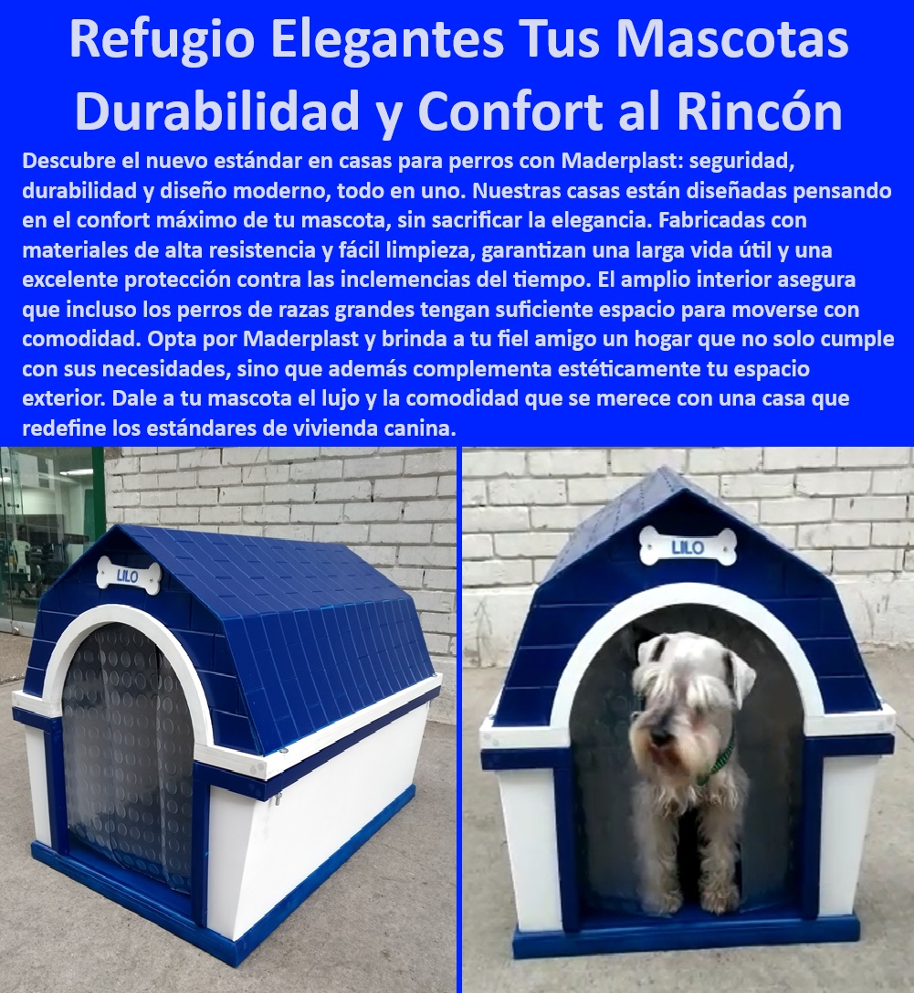 Casas Plásticas Para Perros Perreras Amplias Canil A Prueba De Mordeduras Maderplast  Alojamientos caninos para confort todo el año, , Casetas para perros con diseño resistente al agua, , Perreras modulares para adaptarse a cualquier espacio, , Caniles Maderplast con garantía de durabilidad, , Perreras plásticas de lujo para razas grandes, , Casas para perros con ventilación optimizada, , Casas para mascotas que soportan mordeduras, , Alojamientos exteriores resistentes para perros, , Perreras seguras para todo tipo de clima, , Casetas para perros con aislamiento superior, , Soluciones de vivienda canina con estilo y confort, , Caniles robustos y seguros para perros activos, , Casas para perros grandes con acceso fácil, , Refugios caninos con acabados estéticos y personalizados, , ¿Qué casetas ofrecen el mejor espacio para razas grandes?, , Perreras Maderplast para bienestar animal, , Casas para perros con materiales inoxidables, , Casetas para perros con protección climática avanzada, , ¿Cuáles son las mejores casas para perros grandes disponibles?, , Dormitorios espaciosos para perros grandes, , Refugios para mascotas con interiores amplios, , Caniles de diseño moderno para mascotas, , Casas para perros duraderas y elegantes Maderplast, , Alojamientos para perros que mejoran exteriores, , Casas para perros con fácil mantenimiento y limpieza, , Perreras de fácil ensamblaje y expansión, , ¿Qué alojamientos para perros garantizan un diseño confortable y seguro?, , ¿Dónde puedo encontrar perreras resistentes para exteriores?, , Dormitorios exteriores para perros con protección UV, , ¿Cuál es la opción más duradera en casas para perros? Dormitorios para perros grandes espacio y comodidad Casetas para perros de razas grandes con amplio espacio interior Casas para perro exteriores Casas Plásticas Para Perros Perreras Amplias Canil A Prueba De Mordeduras Maderplast , Dormitorios para perros grandes espacio y comodidad , Casetas para perros de razas grandes con amplio espacio interior Casas para perro exteriores