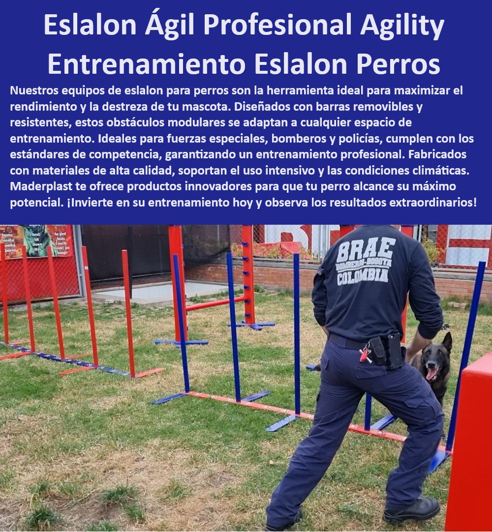 Equipos De Eslalon Para Perros Barras Slalom Removibles perros bomberos Maderplast  Equipos para entrenamiento de agilidad para perros de policía, , Entrenamiento de agilidad para perros de rescate, , Entrenamiento de eslalon para competiciones caninas, , Equipos de eslalon para perros personalizados, , Obstáculos modulares de eslalon para perros, , Barras de eslalon duraderas para perros, , Equipos de entrenamiento canino para fuerzas especiales, , Equipos de eslalon para perros Maderplast, , Equipos de eslalon para entrenamiento canino profesional, , ¿Qué equipo de eslalon es mejor para perros en entrenamiento profesional?, , Barras de eslalon resistentes para uso intensivo, , Equipos de entrenamiento de velocidad para caninos, , Barras de eslalon ajustables para entrenamiento, , Equipos de eslalon para mejorar destreza canina, , Mejor equipo de eslalon para perros, , Equipos de entrenamiento canino adaptable a cualquier espacio, , Entrenamiento de agilidad canina profesional, , Equipos de eslalon para perros con garantía, , ¿Cuáles son los mejores obstáculos de eslalon para entrenar perros de rescate?, , Eslalon para entrenamiento de agilidad canina, , ¿Cómo mejorar la agilidad de mi perro con equipos de eslalon?, , Barras de eslalon removibles para entrenamiento, , Obstáculos de agilidad para perros bomberos, , ¿Qué sistemas de eslalon recomiendan para perros de fuerzas especiales?, , Equipos de eslalon para perros con barras extraíbles, , Barras de eslalon para entrenamiento táctico canino, , Equipos de eslalon de alta calidad para caninos, , ¿Dónde puedo encontrar barras de eslalon removibles para perros?, , Sistema de eslalon para optimizar rendimiento canino, , Barras de eslalon fácilmente configurables Barras de agilidad para entrenamiento de velocidad en perros Obstáculos de eslalon entrenamiento de agilidad rendimiento optimizado Obstáculo pet Equipos De Eslalon Para Perros Barras Slalom Removibles perros bomberos Maderplast , Barras de agilidad para entrenamiento de velocidad en perros , Obstáculos de eslalon entrenamiento de agilidad rendimiento optimizado , Obstáculo pet