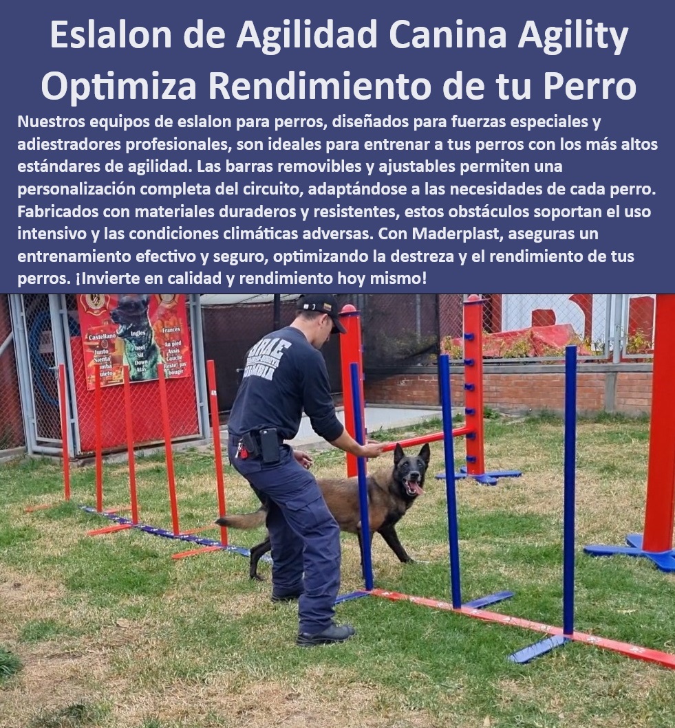 Equipos De Eslalon Para Perros Barras Slalom Removibles perros bomberos Maderplast  Equipos modulares de agilidad para perros, , Obstáculos de agilidad canina duraderos, , Barras slalom profesionales para entrenamiento canino, , ¿Qué equipos de agilidad canina ofrece Maderplast para entrenadores profesionales?, , ¿Qué eslalon de agilidad recomiendan para perros de rescate?, , Eslalon ajustable para entrenamiento de perros, , Eslalon de agilidad personalizable para caninos, , Equipos de eslalon para competencias caninas, , Equipos de entrenamiento canino profesional, , Equipos de eslalon para agilidad canina, , ¿Cuáles son los mejores equipos de eslalon para perros policía?, , Barras de agilidad ajustables y removibles, , Equipos de agilidad para perros con garantía, , Equipos de agilidad para perros de rescate, , Barras slalom removibles para perros, , Barras de eslalon de alta resistencia, , ¿Dónde comprar barras slalom removibles para entrenamiento canino?, , Barras slalom para entrenamiento intensivo, , Equipos para parques caninos versátiles, , ¿Cómo ajustar las barras de slalom para entrenamiento de perros?, , Equipos de entrenamiento canino ajustables Maderplast, , Soluciones de eslalon para agilidad de perros, , Eslalon canino para entrenamiento de fuerzas especiales, , Eslalon de agilidad para perros Maderplast, , Equipos de eslalon para entrenamiento táctico, , Sistemas de entrenamiento canino de alta calidad, , Barreras verticales de eslalon para perros, , Equipos de entrenamiento canino para bomberos, , Eslalon canino para agilidad y rendimiento, , Barras de slalom para perros de policía Barras slalom removibles para parques caninos versatilidad única Barreras verticales para agilidad canina ajuste de altura personalizado Eslalon Equipos De Eslalon Para Perros Barras Slalom Removibles perros bomberos Maderplast , Barras slalom removibles para parques caninos versatilidad única , Barreras verticales para agilidad canina ajuste de altura personalizado , Eslalon