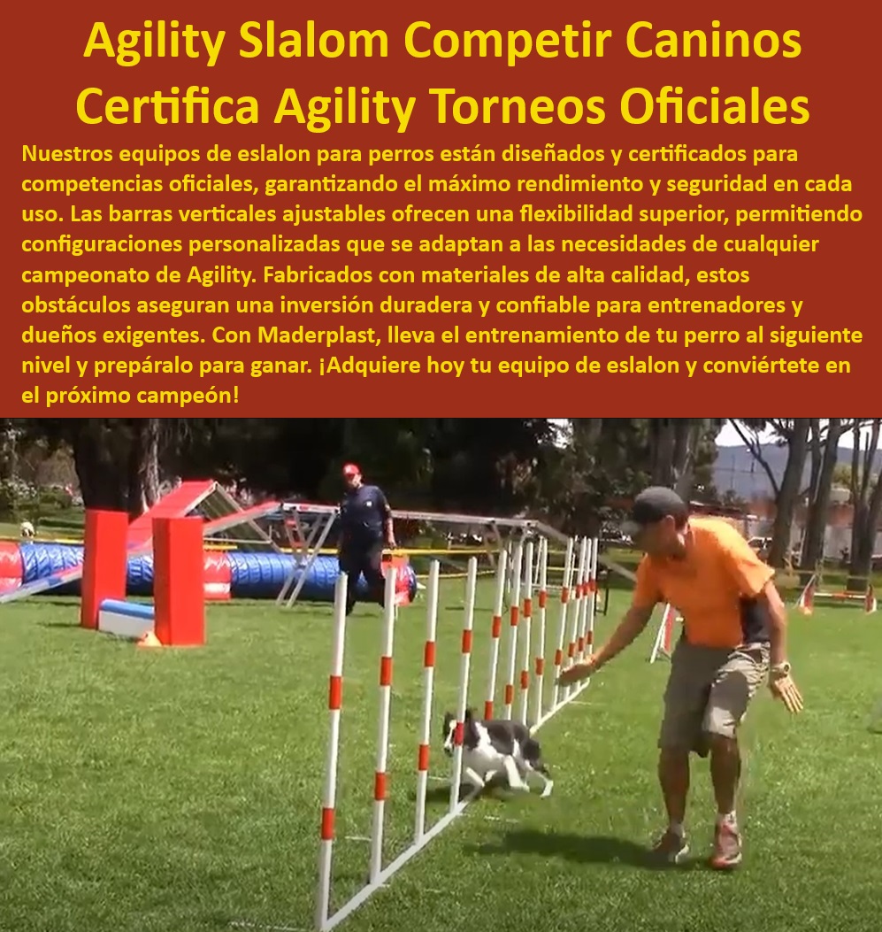 Equipos De Eslalon Para Perros Barras Slalom Removibles perros campeonato Maderplast  Barras de slalom removibles para entrenamiento de perros, , Soluciones personalizadas de eslalon para perros, , Equipos de entrenamiento canino de alta calidad, , Slalom de competencia para perros Maderplast, , Soluciones de eslalon para perros en torneos oficiales, , Mejora de destreza canina con equipos de eslalon Maderplast, , Equipos de eslalon para perros con garantía de durabilidad, , Componentes de eslalon para entrenamiento canino eficaz, , Barras verticales de slalom para perros de competencia, , Equipos de slalom para perros certificados para competencias, , Certificación de seguridad en equipos de eslalon para perros, , ¿Dónde puedo comprar equipos de eslalon para perros certificados para competencias?, , Equipos de agilidad canina ajustables y seguros, , ¿Cómo asegurar la calidad en equipos de eslalon para entrenamiento canino?, , Inversiones duraderas en equipos de agilidad para perros, , Equipos Maderplast para entrenamiento de agilidad canina, , Equipos de eslalon para entrenamiento canino interior y exterior, , ¿Qué equipos de eslalon para perros recomienda Maderplast para entrenamiento avanzado?, , Eslalon para perros para entrenamiento avanzado, , Eslalon de competencia para perros con barras ajustables, , Equipos de agilidad canina para campeonatos, , Seguridad y rendimiento en eslalon para perros, , Barras de eslalon para entrenamiento canino flexible, , Barras de slalom ajustables para entrenamiento canino, , ¿Cuáles son los mejores equipos de agilidad canina para campeonatos oficiales?, , Kit de eslalon canino para entrenadores profesionales, , Equipos de entrenamiento canino para uso intensivo, , Kits de eslalon canino para competiciones oficiales, , Slalom profesional para campeonatos caninos, , ¿Cuáles son las opciones de barras de slalom ajustables para perros en Maderplast? Eslalon de competencia perros certificado para torneos Barras verticales de slalom para agilidad canina inversiones duraderas Barra de slalom 0 Equipo  Equipos De Eslalon Para Perros Barras Slalom Removibles perros campeonato Maderplast Eslalon de competencia perros certificado para torneos Barras verticales de slalom para agilidad canina inversiones duraderas Barra de slalom 0 Equipo 