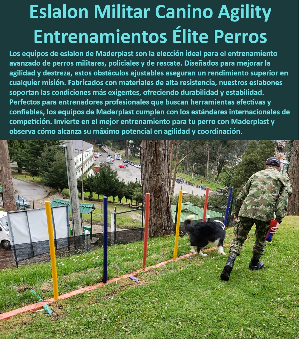 Equipos De Eslalon Para Perros Barras Slalom Removibles perros ejército Maderplast  ¿Dónde comprar eslalon ajustable para entrenamiento canino?, , Equipos eslalon canino cumplen estándares internacionales, , Eslalon canino para entrenamiento en exteriores, , Barras slalom personalizadas diseño ergonómico seguridad, , Herramientas entrenamiento canino para uso profesional, , Sistema eslalon para perros diseño anti-corrosión, , Objetos entrenamiento perros fuerzas especiales seguridad, , Equipos eslalon con protección UV y salinidad, , Eslalon canino para espacios reducidos práctico, , Set eslalon ajustable para perros todas razas, , Barras slalom removibles fácil limpieza y almacenaje, , Eslalon vertical perros entrenamiento agilidad duradero, , ¿Qué sistema de eslalon es recomendado para perros de rescate?, , Equipos eslalon entrenamiento canino profesional Maderplast, , Eslalon perros resistente a impactos y mordeduras, , Eslalon entrenamiento perros con garantía durabilidad, , Eslalon ajustable para entrenamiento canino diario, , Set de entrenamiento eslalon para perros jóvenes, , Sistema eslalon canino ajustable para entrenadores, , ¿Cuál es el mejor eslalon para perros de competición?, , Equipos de eslalon de alta calidad para perros, , Material inoxidable eslalon perros resistente intemperie, , Eslalon portátil fácil montaje competiciones caninas, , Eslalon flexible y seguro para entrenamiento canino, , Barras slalom removibles perros alta resistencia, , ¿Cómo asegurar la durabilidad del eslalon en exteriores?, , Sistema eslalon robusto para entrenamiento canino intensivo, , Eslalon para campeonatos caninos diseño especializado, , Eslalon canino Maderplast para formación de guías, , ¿Cómo entrenar a mi perro con eslalon de alta calidad? Eslalon barras verticales para perros entrenamiento de agilidad Sistema de eslalon entrenamiento canino avanzado ajustes precisos Eslalon perros Equipos De Eslalon Para Perros Barras Slalom Removibles perros ejército Maderplast , Eslalon barras verticales para perros entrenamiento de agilidad , Sistema de eslalon entrenamiento canino avanzado ajustes precisos , Eslalon perros