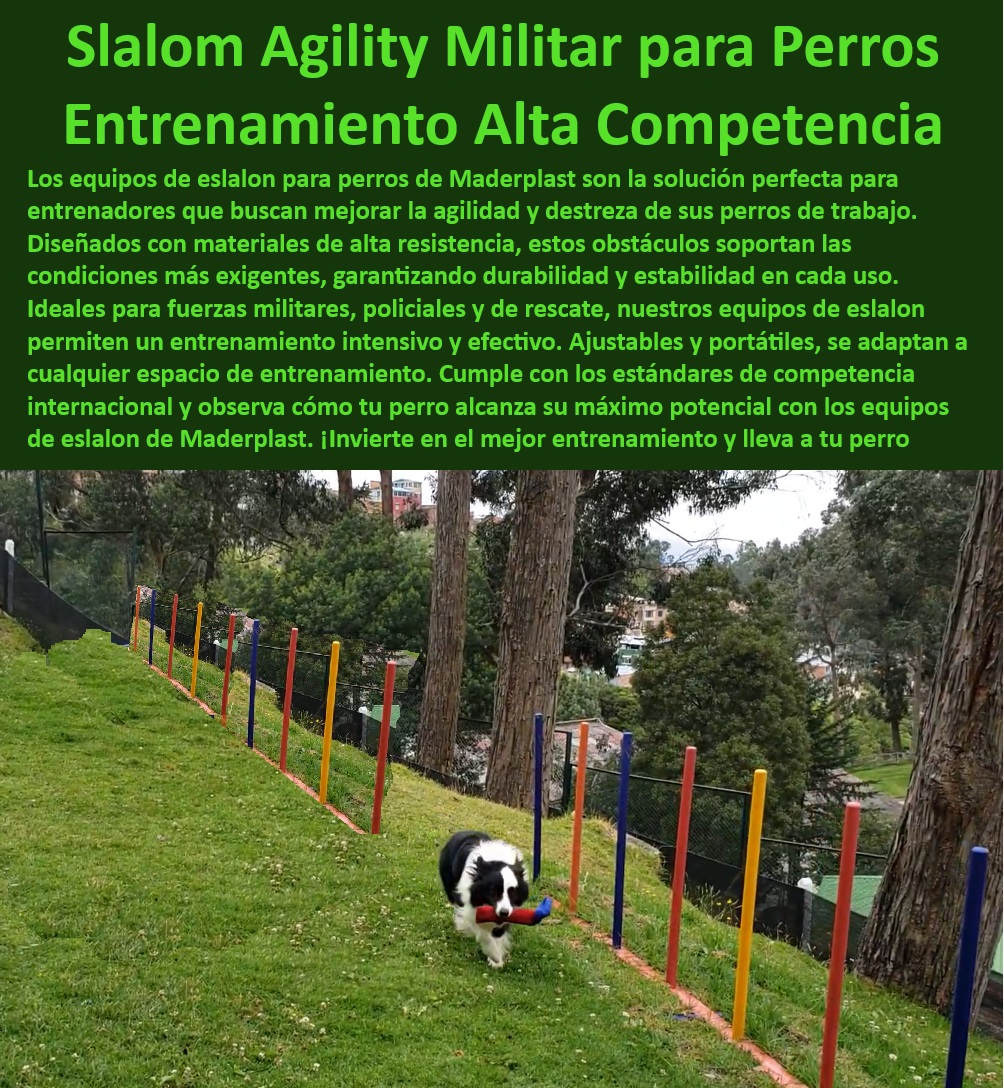 Equipos De Eslalon Para Perros Barras Slalom Removibles perros ejército Maderplast Kit de slalom profesional para perros listo para competir Barras de slalom de alta competencia para perros diseño ergonómico Barras de eslalon 00 Equipos De Eslalon Para Perros Barras Slalom Removibles perros ejército Maderplast , Kit de slalom profesional para perros listo para competir , Barras de slalom de alta competencia para perros diseño ergonómico , Barras de eslalon 00