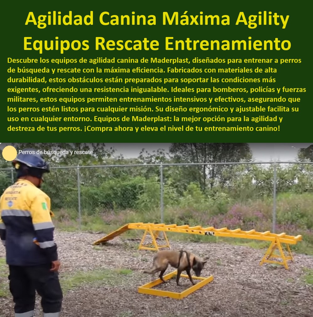 Escaleras vertical de entrenamiento perros Obstáculos verticales pasarela Maderplast  Entrenamiento avanzado de caninos para rescate Maderplast, , Obstáculos de entrenamiento canino para profesionales, , Mejora de agilidad canina con equipos profesionales, , Equipos caninos ajustables y seguros para entrenadores, , Equipos de entrenamiento canino militar especializado, , Equipos de entrenamiento para perros de rescate duraderos, , Entrenamiento de agilidad canina para búsqueda y rescate, , ¿Qué necesita un perro de rescate para un entrenamiento efectivo?, , Obstáculos de agilidad canina profesional para competencias, , ¿Cómo elegir equipos duraderos para entrenamiento canino?, , Equipos de agilidad canina profesional para campeonatos, , Equipos portátiles de entrenamiento canino para exteriores, , Equipos de entrenamiento canino de calidad superior, , Equipos caninos para perros de policía y militares, , Equipos caninos de entrenamiento intensivo para misiones, , Equipos de seguridad canina portátiles, , ¿Cuáles son los mejores obstáculos de agilidad para caninos?, , ¿Dónde comprar equipos de agilidad para perros de rescate?, , Equipos de rescate para perros ergonómicos, , Equipos caninos duraderos para entrenamiento intensivo, , Soluciones de entrenamiento canino para perros activos, , Equipos de agilidad canina para misiones específicas, , Equipos de rescate canino adaptables para diversas misiones, , Equipos caninos para entrenadores exigentes, , ¿Quién vende los mejores equipos para entrenamiento de perros Maderplast?, , Entrenamiento eficiente y seguro de agilidad canina, , Equipos caninos para fuerzas especiales ajustables, , Obstáculos de entrenamiento canino para mejor rendimiento, , Entrenamiento de perros de rescate con equipos seguros, , Equipos de agilidad canina para rescate de alta durabilidad pasar la escalera Estructuras de entrenamiento competencias caninas escaleras 0  Escaleras vertical de entrenamiento perros Obstáculos verticales pasarela Maderplast pasar la escalera Estructuras de entrenamiento competencias caninas escaleras 0  