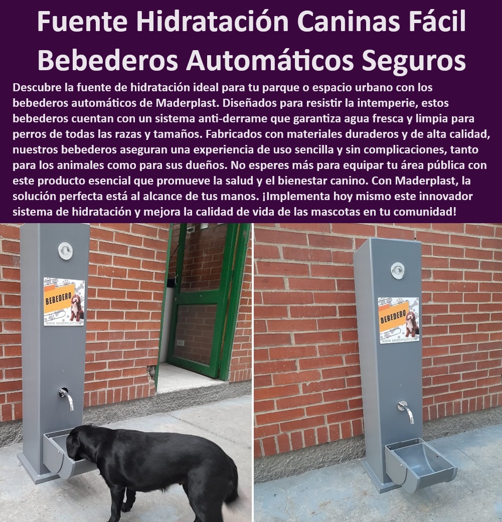 Fuente de hidratación para perros Estación de agua potable portátil para perros Maderplast  Soluciones prácticas de hidratación para parques caninos, , Soluciones Maderplast para bienestar animal en parques, , ¿Cómo instalar un bebedero automático en un parque canino?, , Soluciones de hidratación para perros en espacios públicos, , Sistemas de bebida para caninos con garantía de durabilidad, , ¿Qué sistemas de hidratación recomiendan para áreas caninas urbanas?, , Equipos de hidratación canina para instalaciones municipales, , Bebederos de fácil uso para áreas recreativas caninas, , Implementación de sistemas de agua para perros en comunidades, , Bebederos duraderos para áreas de alto tráfico canino, , Estaciones de hidratación canina con diseño ergonómico, , Bebederos automáticos accesibles para caninos grandes y pequeños, , Fuentes de agua automática para mascotas, , Bebedero automático Maderplast para parques y plazas, , Bebederos automáticos caninos para parques Maderplast, , Equipos para hidratación de mascotas en entornos urbanos, , ¿Dónde puedo comprar un bebedero automático para perros?, , ¿Maderplast ofrece fuentes de agua para perros grandes?, , Fuentes caninas con sistemas anti-derrame, , Sistema de hidratación automático para perros de todas las razas, , Fuentes de agua para perros que promueven la higiene en espacios públicos, , Innovaciones en hidratación canina para entornos comunitarios, , Estaciones de bebida para perros con materiales de alta calidad, , Fuente de agua segura para mascotas urbanas, , Bebederos Maderplast para el bienestar de las mascotas urbanas, , Equipamiento Maderplast para parques caninos, , ¿Cuáles son los bebederos más seguros para parques?, , Fuente de agua para caninos diseñada para uso continuo, , Fuentes caninas resistentes a la intemperie, , Estaciones de agua fresca canina duraderas Bebedero con sistema anti derrame para entornos urbanos Sistema de hidratación para perros de todas las razas Fuente de bebida automáticaFuente de hidratación para perros Estación de agua potable portátil para perros Maderplast , Bebedero con sistema anti-derrame para entornos urbanos , Sistema de hidratación para perros de todas las razas , Fuente de bebida automática