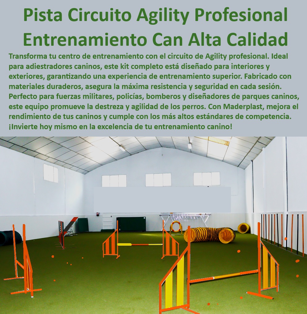 Kit Completo De Agility Para Perros De Pistas De Agilidad Para Perros Maderplast  Kits de agility para perros para centros de entrenamiento, , Sistemas de agility canina para entrenadores profesionales, , Equipos de entrenamiento canino para bomberos y policía, , ¿Cómo instalar una pista de agility en un centro de entrenamiento canino?, , Agility canina profesional para competencias, , Pistas de entrenamiento para perros con diseño modular, , Soluciones de agilidad para perros para espacios limitados, , Kits completos de agilidad canina Maderplast, , Circuitos de agilidad para entrenamiento canino integral, , Equipos profesionales de agilidad para adiestradores caninos, , Pistas de agilidad de alto rendimiento para perros, , Soluciones de entrenamiento para perros en centros deportivos, , Circuitos de entrenamiento canino para fuerzas especiales, , Circuitos de agilidad para perros para mejoramiento cognitivo, , Equipos de agility resistentes para entrenamiento policial, , ¿Dónde puedo comprar equipos de agility canina para entrenadores profesionales?, , Pistas de agilidad canina duraderas y seguras, , Equipos de agilidad para perros de fácil instalación, , Equipos de agility canina para mejorar la destreza y agilidad, , Mejora del rendimiento canino con pistas de agility, , Pistas de agilidad para perros para uso intensivo, , Implementación de pistas de agility en instalaciones caninas, , ¿Qué kit de agility para perros recomiendan para entrenamiento policial?, , ¿Qué necesito para un circuito de entrenamiento canino de alta calidad?, , Pistas de entrenamiento canino personalizadas para cada necesidad, , Pistas de agility para entrenamiento canino de alta calidad, , Equipos de entrenamiento canino con altos estándares de seguridad, , Pistas de agility Maderplast para entrenamiento canino de élite, , Instalaciones de entrenamiento canino en interiores y exteriores, , ¿Cuáles son los mejores equipos de agility canina para competencias? Circuitos de agilidad canina Equipos de agility para adiestradores caninos profesionales Instalaciones de agilidad para centros de entrenamiento  Kit Completo De Agility Para Perros De Pistas De Agilidad Para Perros Maderplast , Circuitos de agilidad canina , Equipos de agility para adiestradores caninos profesionales , Instalaciones de agilidad para centros de entrenamiento ,