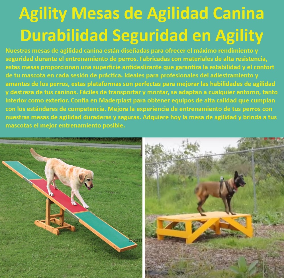 Mesa de contacto para perros Mesas de parada tarima perros Maderplast  ¿Cómo encuentro mesas de parada caninas seguras y durables?, , Plataforma de agilidad ajustable para perros, , Plataforma de entrenamiento canino durable y segura, , Tarima de agilidad canina para todo clima, , Mesa de servicio canino para agilidad, , Plataforma de entrenamiento canino con estructura robusta, , Mesa de contacto antideslizante para perros de trabajo, , Mesa de parada para entrenamiento canino intensivo, , Mesa de servicio canino robusta y fiable, , Tarima de entrenamiento para competencias caninas, , Superficie de entrenamiento canino con seguridad mejorada, , Mesa de entrenamiento canino fácil de montar, , Mesa de agilidad canina para entrenadores, , Equipos de entrenamiento canino de alta calidad, , ¿Qué mesa de servicio para entrenamiento canino recomiendan?, , ¿Dónde puedo comprar una mesa de agilidad para perros?, , Mesa de contacto profesional para perros, , Plataforma de entrenamiento para perros con superficie segura, , ¿Cuál es la mejor plataforma de entrenamiento canino disponible?, , Equipos de agilidad canina para entrenamiento exterior, , Equipos de agilidad canina para uso intensivo Maderplast, , Mesa de agilidad canina antideslizante para entrenamiento, , Plataforma de entrenamiento canino para seguridad, , Tarima de contacto para perros profesionales, , Mesa de parada canina para entrenamientos y competiciones, , ¿Quién vende plataformas de agilidad para perros con superficie antideslizante?, , Equipos de agilidad canina portátiles para perros, , Mesas de parada canina con beneficios duraderos Maderplast, , Mesa de agilidad canina para uso profesional, , Tarima de entrenamiento canino adaptable al exterior mesa de servicio soporte fiable Mesas de parada para entrenamiento canino superficie antideslizante Plataformas de agilidad canina Plataformas de agilidad 0 Mesa de contacto para perros Mesas de parada tarima perros Maderplast , mesa de servicio soporte fiable , Mesas de parada para entrenamiento canino superficie antideslizante , Plataformas de agilidad canina , Plataformas de agilidad 0