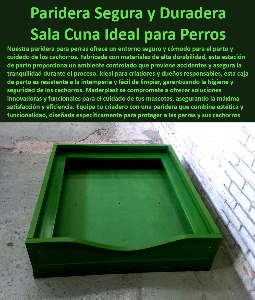 Paridera Perras Sala Partos De Perros Paritorio Estación De Parto Básica Maderplast  Paridera para perros con ambiente controlado, , Equipamiento funcional para el parto de perros, , Paritorio canino adaptado a necesidades de criadores, , Equipamiento de parto para razas grandes de perros, , Paridera canina con medidas de seguridad avanzadas, , Parideras para perros con garantía de durabilidad, , Estación de parto controlado para criadores de perros, , Equipamiento de lujo para parideras de criadero, , Parideras Maderplast para un parto sin estrés, , Cajas de parto canino ajustables y seguras, , Caja de parto de fácil limpieza para perros, , ¿Qué opciones de parideras para perros recomienda Maderplast?, , Soluciones innovadoras para el parto de perros, , ¿Cómo puedo asegurar un parto seguro para mi perra?, , Caja de parto segura para perras en gestación, , ¿Qué paritorio ofrece el mejor ambiente controlado para perros?, , Estación de parto canino para veterinarios, , Paritorio resistente a la intemperie para perras, , Cuna para parto de perras con seguridad máxima, , Paridera segura y durable para perros Maderplast, , Refugio seguro para perros durante el parto, , ¿Cuáles son las mejores parideras para perras gestantes?, , ¿Dónde puedo encontrar parideras seguras para perros?, , Caja de parto diseñada para la comodidad canina, , Maderplast ofrece parideras con alto estándar estético, , Sala cuna ideal para partos caninos, , Paridera Maderplast con protección total para cachorros, , Soluciones Maderplast para el parto de mascotas, , Paridera para perros con diseño ergonómico, , Estaciones de parto para perros con diseño modular Casa para parto de perras ambiente controlado Paridera perros resistente seguro y durable Caja de parto de lujo para criadero estética y función 0 Paridera Perras Sala Partos De Perros Paritorio Estación De Parto Básica Maderplast Casa para parto de perras ambiente controlado Paridera perros resistente seguro y durable Caja de parto de lujo para criadero estética y función 0  