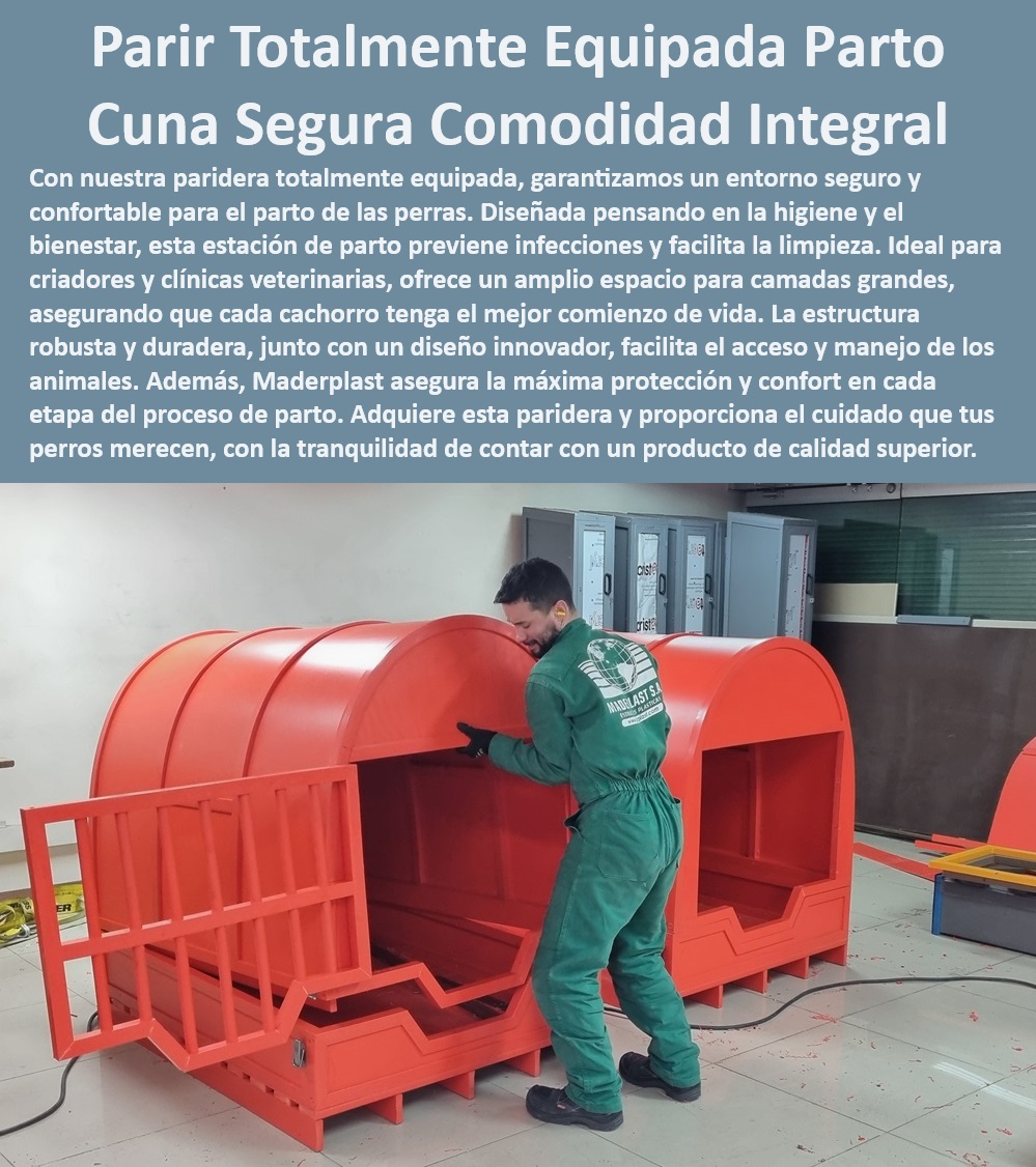 Paridera Perras Sala Partos De Perros Paritorio Estación De Parto Completa Maderplast  equipamiento integral para paridera profesional calidad y funcionalidad, , paridera para perros Maderplast el mejor comienzo para la vida de tus cachorros, , paridera profesional para perros Maderplast durabilidad y diseño higiénico, , paridera robusta para razas grandes con garantía de calidad Maderplast, , paridera para perros Maderplast fácil limpieza y mantenimiento óptimo, , estación de parto completa para perros con accesorios incluidos Maderplast, , ¿Cuál es la paridera más adecuada para mi perra de raza grande?, , paridera para clínicas veterinarias higiene y prevención de infecciones garantizadas, , ¿Maderplast ofrece soluciones de paridera para criadores profesionales?, , paridera para perros higiene y bienestar animal garantizados con Maderplast, , manejo seguro y eficiente de caninos en paridera profesional Maderplast, , ¿Cómo puedo garantizar la prevención de infecciones en la paridera de mi perra?, , protección y confort para perras y cachorros durante el parto paridera Maderplast, , Maderplast especialistas en equipamiento para criaderos caninos y profesionales, , paridera Maderplast calidad y confianza para profesionales de la salud animal, , diseño innovador de paridera Maderplast con fácil acceso para manejo de animales, , paridera para camadas numerosas con capacidad y acceso optimizado, , sistema de paridera modular y adaptable a criaderos caninos Maderplast, , estación de parto canina segura y confortable para razas grandes, , ¿Qué características debe tener una paridera de alta calidad para uso veterinario?, , Maderplast paridera canina de alta durabilidad y resistencia para un parto seguro, , comodidad integral para perras y cachorros en paridera profesional Maderplast, , paridera canina Maderplast la elección de los expertos en bienestar animal, , paritorio veterinario de alta calidad con materiales fáciles de desinfectar, , ¿Dónde puedo adquirir una paridera profesional con diseño higiénico?, , paridera para perros solución óptima para criadores profesionales y exigentes, , paridera veterinaria Maderplast para un parto seguro y controlado, , cuna de parto canina segura y confortable para un nacimiento tranquilo, , paridera para perros con certificación de calidad superior y materiales duraderos, , sala de parto canina Maderplast con diseño ergonómico y espacio amplio Equipamiento de paridera criadores de perros Sistema de paridera higiénica para clínicas prevenir infecciones Paridera para camadas grandes 00 Paridera Perras Sala Partos De Perros Paritorio Estación De Parto Completa Maderplast , Equipamiento de paridera criadores de perros , Sistema de paridera higiénica para clínicas prevenir infecciones , Paridera para camadas grandes 00