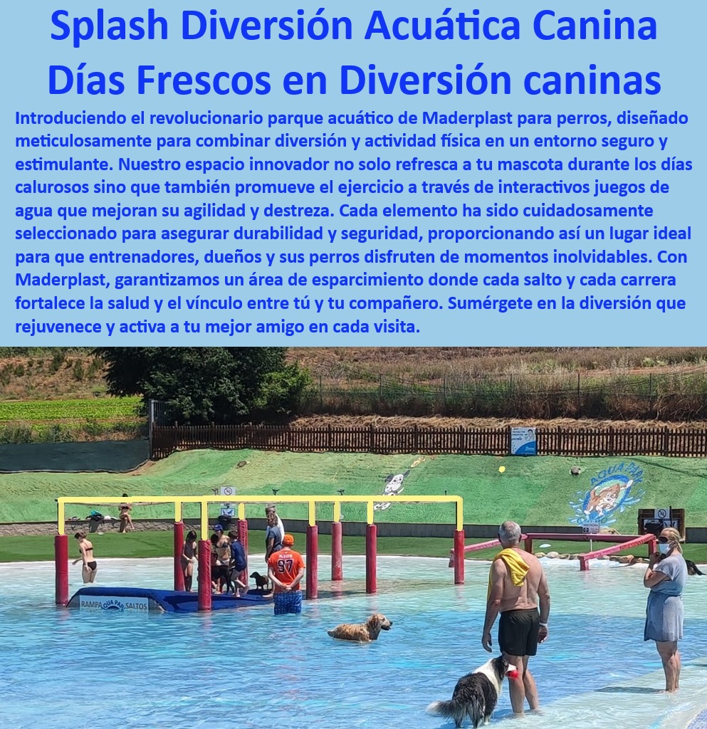 Parque Acuático Para Perros Piscina Perro Agility Acuatico Juego En Agua Maderplast  Actividades acuáticas estimulantes para perros, , Juegos acuáticos para la agilidad de perros, , ¿Qué parque acuático para perros es recomendado para el verano?, , ¿Existen parques acuáticos seguros y divertidos para perros?, , Juegos en agua para el desarrollo canino, , Área de juegos acuáticos de fácil mantenimiento para mascotas, , Instalación recreativa para entrenamiento canino acuático, , Soluciones acuáticas para perros de todas las razas, , Instalaciones recreativas seguras para caninos, , ¿Cómo puedo asegurar un entrenamiento seguro y refrescante para mi perro?, , Zona de juego acuático segura para perros, , Parque acuático para perros con elementos refrescantes, , Productos Maderplast para diversión canina en verano, , Parques acuáticos tematizados para caninos, , Juegos de agua seguros para perros en exteriores, , Innovación en parques acuáticos para entrenadores de perros, , Piscina canina para ejercicio y juego, , ¿Cuál es el mejor parque acuático para caninos?, , Parque acuático personalizado para caninos, , Áreas de esparcimiento acuático para entrenamiento de perros, , Entrenamiento y diversión en piscina para caninos, , Parque temático acuático para perros activos, , Parque acuático portátil para perros Maderplast, , Diversión en agua segura para entrenamiento canino, , Piscina para perros con juegos interactivos de agua, , Entretenimiento refrescante para mascotas activas, , Equipamiento de juego acuático duradero para mascotas, , Parque acuático canino para días calurosos, , Parque acuático interactivo para perros Maderplast, , ¿Dónde puedo encontrar un parque acuático para perros cerca de mí? Entrenamiento acuático canes Entretenimiento acuático canino Parques acuáticos seguros para perros Parques acuáticos para mascotas Piscinas 0 Parque Acuático Para Perros Piscina Perro Agility Acuatico Juego En Agua Maderplast , Entrenamiento acuático canes , Entretenimiento acuático canino , Parques acuáticos seguros para perros, Parques acuáticos para mascotas , Piscinas 0