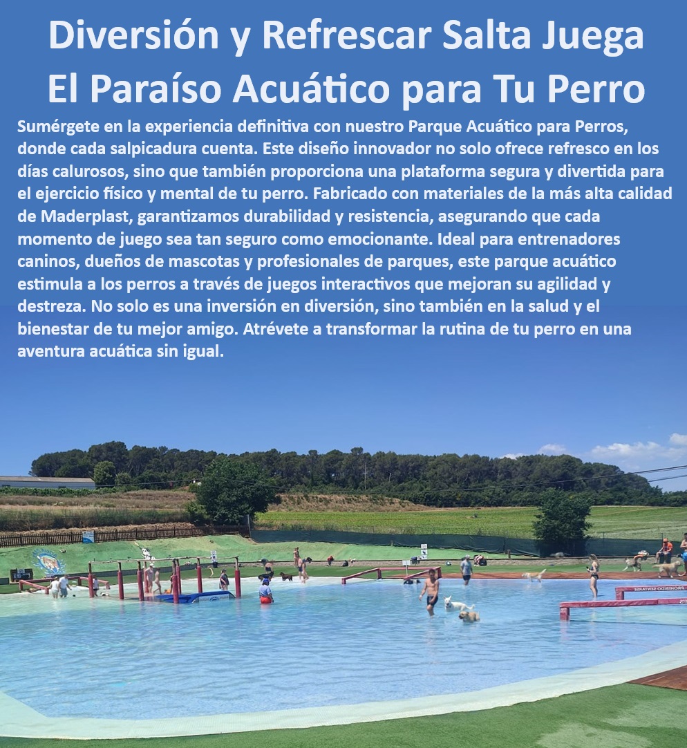 Parque Acuático Para Perros Piscina Perro Agility Acuatico Juego En Agua Maderplast  Ideal para entrenadores y dueños de mascotas, , Parque acuático diseñado para todas las razas de perros, , Diversión acuática para perros en exteriores, , Parque interactivo acuático para mascotas de Maderplast, , Piscina de juegos para mejorar agilidad canina, , ¿Dónde puedo comprar un parque acuático para perros?, , Atracción acuática Maderplast para parques caninos, , Plataforma de ejercicio para perros resistente y duradera, , ¿Existen parques acuáticos seguros y divertidos para perros cerca de mí?, , Experiencia acuática segura para mejorar la salud canina, , Parque canino con elementos interactivos de agua, , ¿Cómo puedo encontrar un parque canino refrescante para el verano?, , Equipamiento especializado para parques de perros, , Parque de diversión y ejercicio para perros con garantía, , ¿Qué parque acuático para perros ofrece la mejor relación calidad-precio?, , Recreación acuática de alta calidad para perros, , Mejora de la dextreza canina a través del juego en agua, , Solución acuática para días de calor para perros, , Juegos de agua para la actividad física de mascotas, , Opción de entrenamiento canino para verano con agua, , Parque acuático portátil para entrenamiento canino, , Instalación acuática fácil de montar para entrenamiento de perros, , ¿Cuáles son los mejores parques acuáticos para perros disponibles?, , Parque acuático canino Maderplast para días calurosos, , Soluciones de entretenimiento duraderas para caninos, , Parque refrescante y seguro para mascotas activas, , Innovador parque acuático para entrenamiento de perros, , Espacio seguro y estimulante para perros Maderplast, , Parque acuático canino para fomentar un estilo de vida activo, , Entretenimiento refrescante para perros con juegos acuáticos Piscinas de fácil montaje para perros Plataformas acuáticas para perros Piscinas perros refrescantes y fáciles de instalar Piscinas portátiles Parque Acuático Para Perros Piscina Perro Agility Acuatico Juego En Agua Maderplast , Piscinas de fácil montaje para perros , Plataformas acuáticas para perros , Piscinas perros refrescantes y fáciles de instalar , Piscinas portátiles