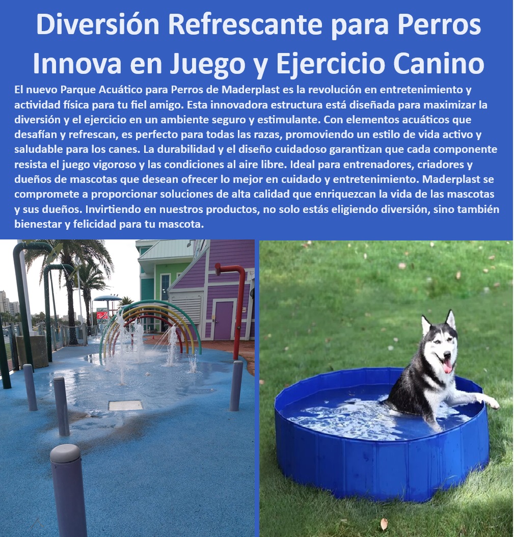 Parque Acuático Para Perros Piscina Perro Agility Acuático Juego chorro Agua Maderplast  Soluciones acuáticas para entrenadores y criadores de perros, , Instalaciones recreativas acuáticas para caninos, , Piscinas de juegos acuáticos seguros para todas las razas, , ¿Dónde puedo comprar un parque acuático para perros cerca de mí?, , Innovación en parques de agua para entrenamiento canino, , Parque de juegos acuático para perros con resistencia climática, , Juegos de agua para perros diseñados para la seguridad, , ¿Cómo puedo encontrar un parque acuático seguro para mi perro?, , Alternativas de ejercicio refrescante para caninos calurosos, , Equipos de juego acuáticos plegables para fácil almacenamiento, , Parque acuático Maderplast para diversión y ejercicio canino, , Opciones de ejercicio acuático para perros grandes y pequeños, , Productos Maderplast para parques de agua caninos, , Parque acuático canino de alta durabilidad para perros, , ¿Existen parques acuáticos para perros que sean fáciles de instalar?, , Juegos de agua para entrenamiento y diversión canina, , Elementos acuáticos para estimulación y ejercicio de perros, , ¿Qué parque acuático para perros ofrece la mejor diversión y ejercicio?, , Parques acuáticos caninos personalizados de Maderplast, , ¿Cuál es el mejor parque acuático para perros para el verano?, , Parques acuáticos para perros con diseño innovador, , Equipos de juego refrescantes para perros activos, , Juegos acuáticos estimulantes para el desarrollo canino, , Equipos de ejercicio acuático adaptativos para caninos, , Áreas de juegos acuáticos temáticos para perros, , Instalaciones de juego acuático para el bienestar canino, , Zonas de juegos acuáticos seguras para mascotas, , Juegos de agua para perros que promueven un estilo de vida activo, , Productos de entretenimiento canino para exteriores, , Equipamiento de ejercicio para perros con elementos de agua Juegos de agua innovadores para perros activos Ocio acuático para perros que aman el agua Zonas de juegos acuáticos parque de diversiones 0 Parque Acuático Para Perros Piscina Perro Agility Acuático Juego chorro Agua Maderplast , Juegos de agua innovadores para perros activos , Ocio acuático para perros que aman el agua , Zonas de juegos acuáticos, parque de diversiones 0